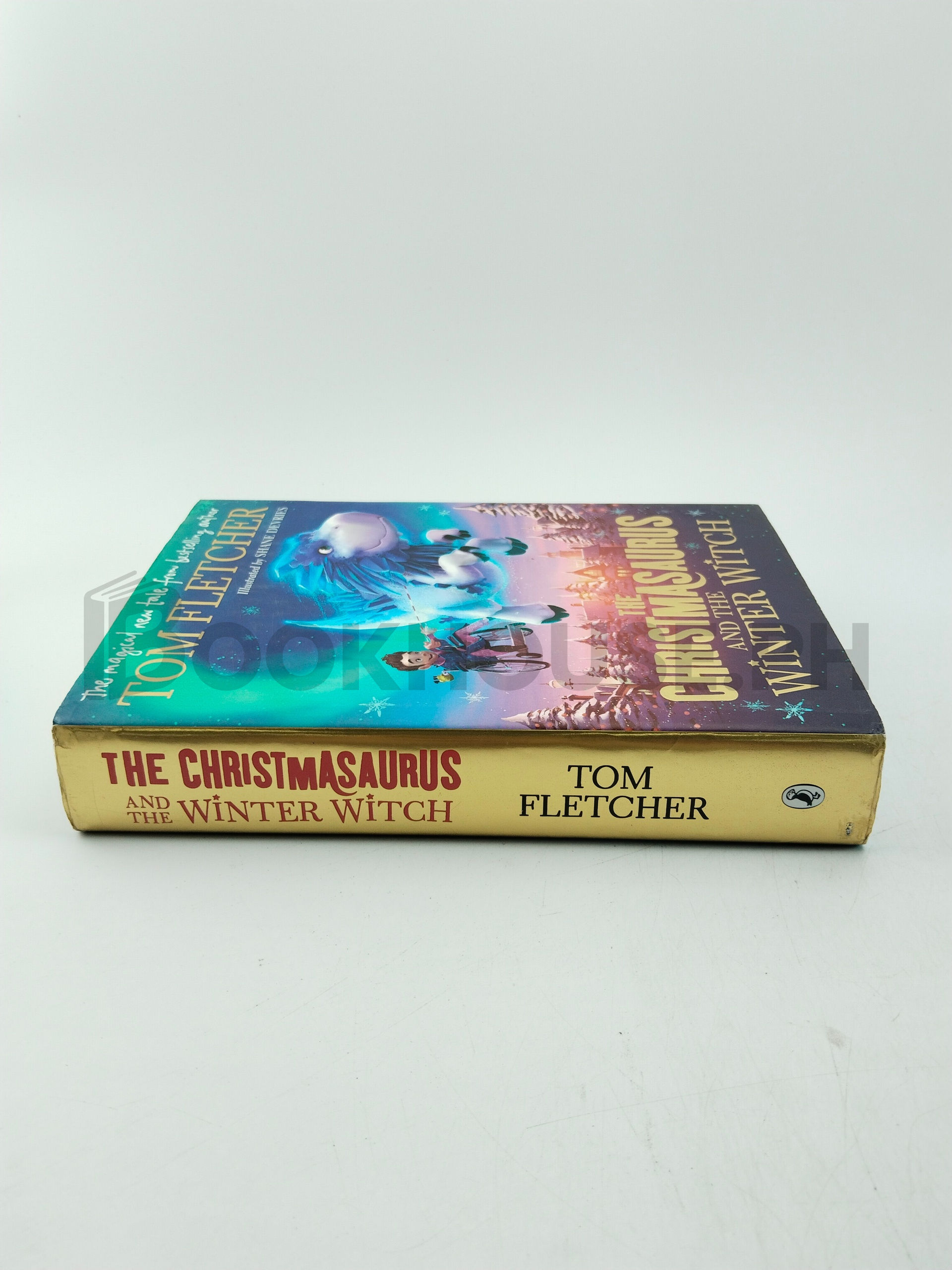 The Christmasaurus And The Winter Witch by Tom Fletcher - Image 3