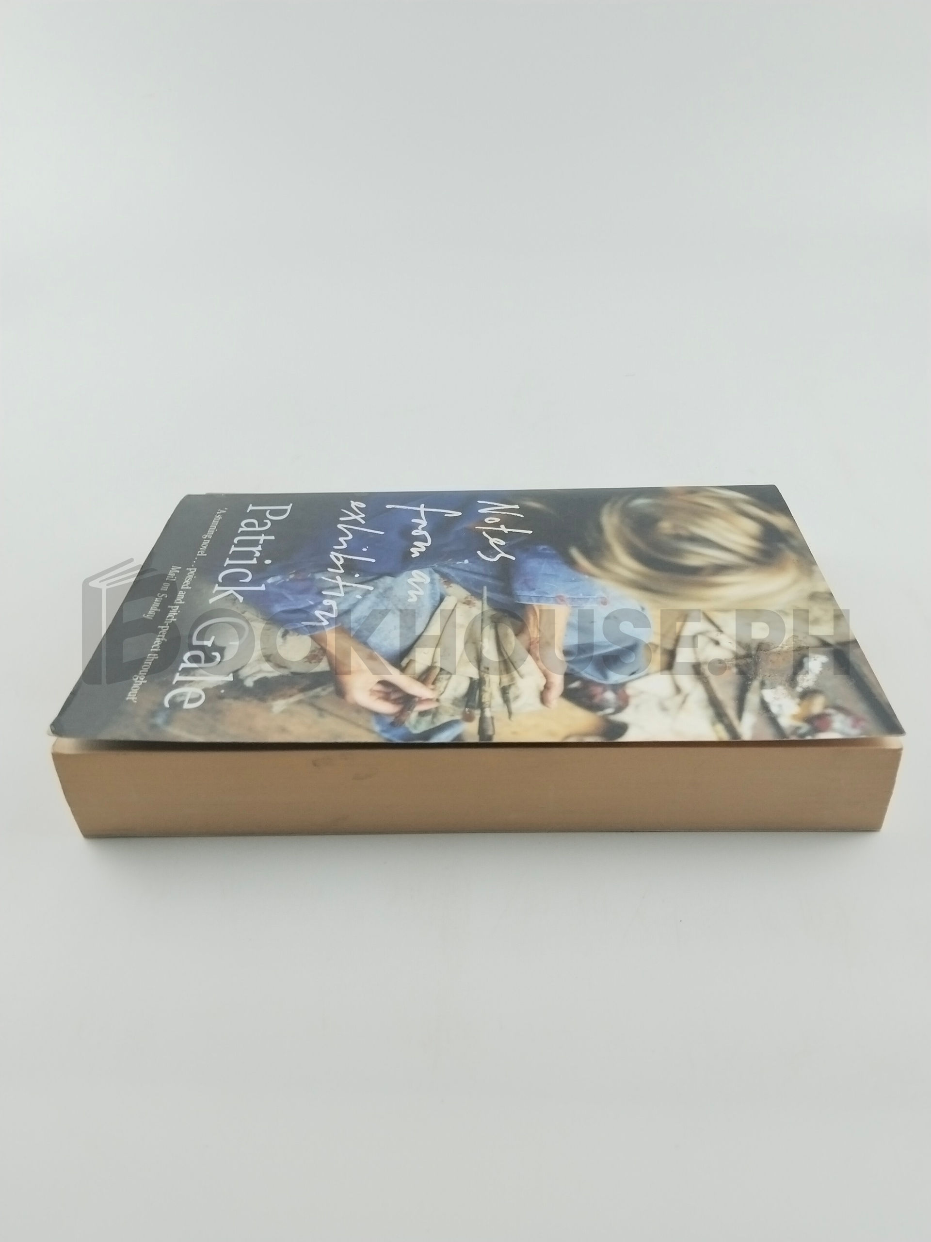 Notes From An Exhibition by Patrick Gale - Image 4