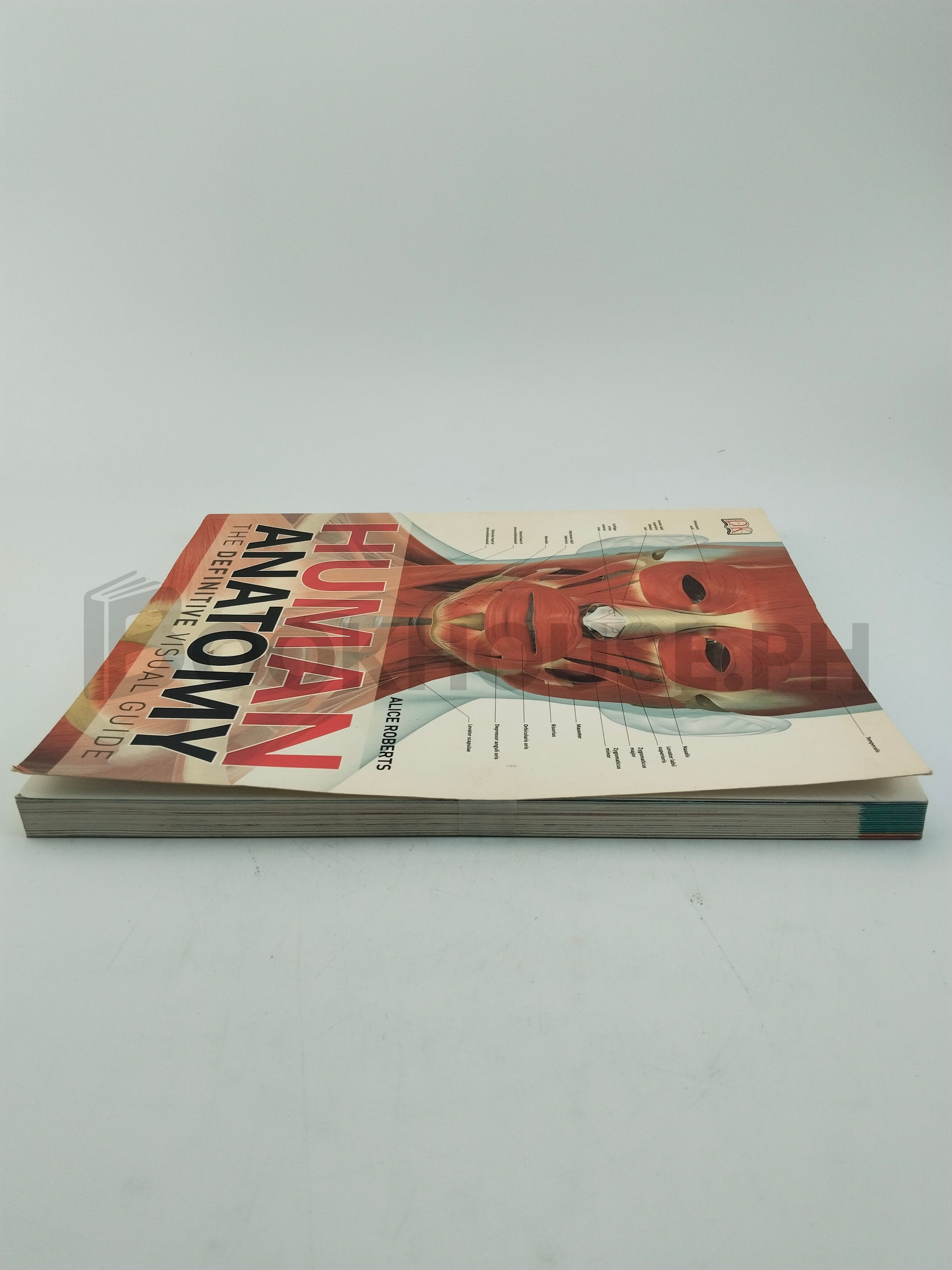 Human Anatomy by Alice Roberts - Image 4