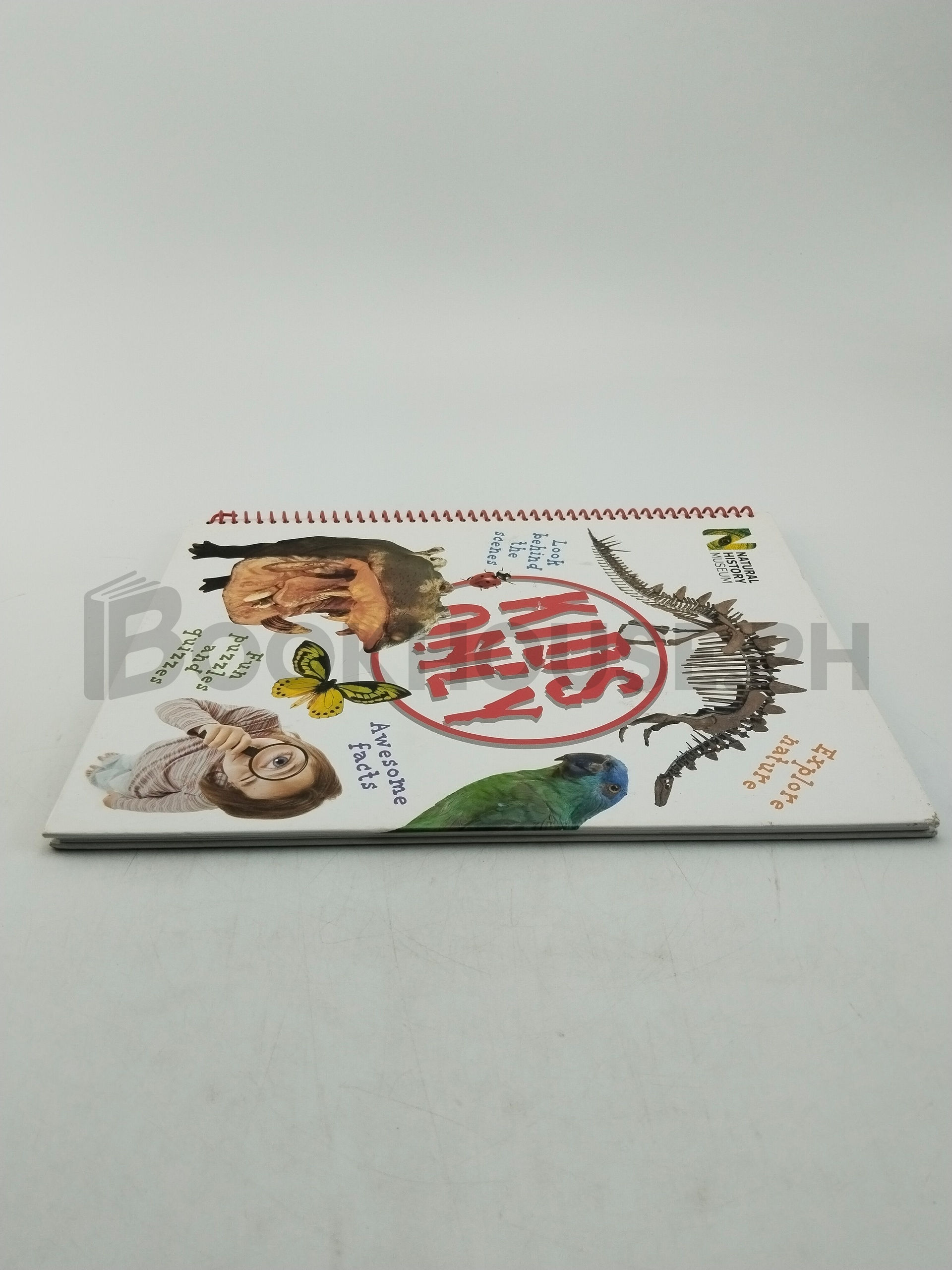 Kids Only by Miranda Macquitty - Image 4