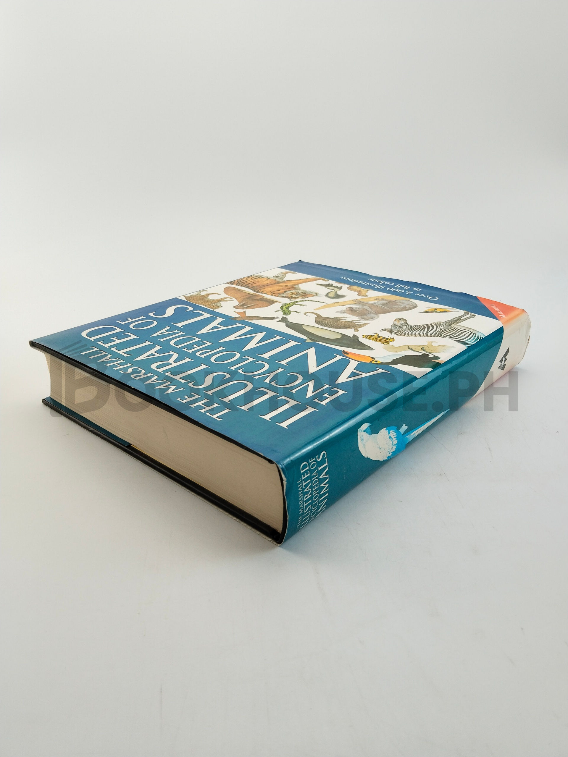 The Marshall Illustrated Encyclopedia Of Animals by Philip Whitfield - Image 2