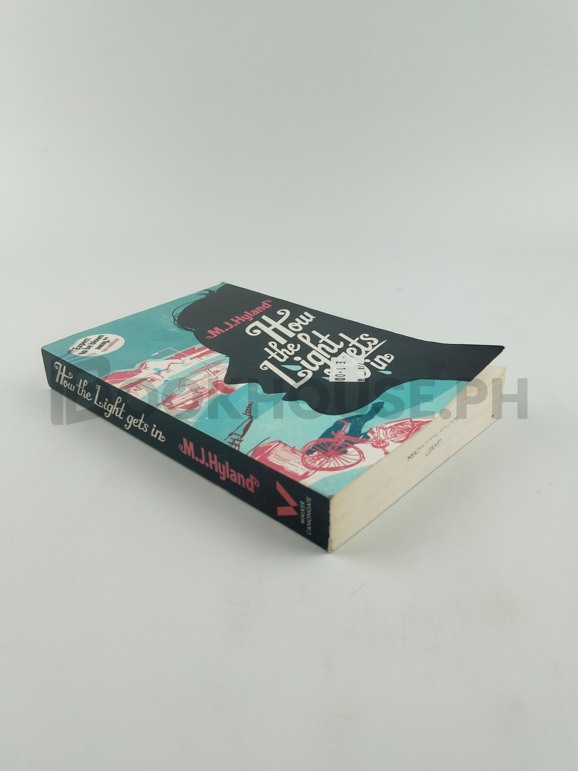 How The Light Gets In by Maria Joan Hyland - Image 2