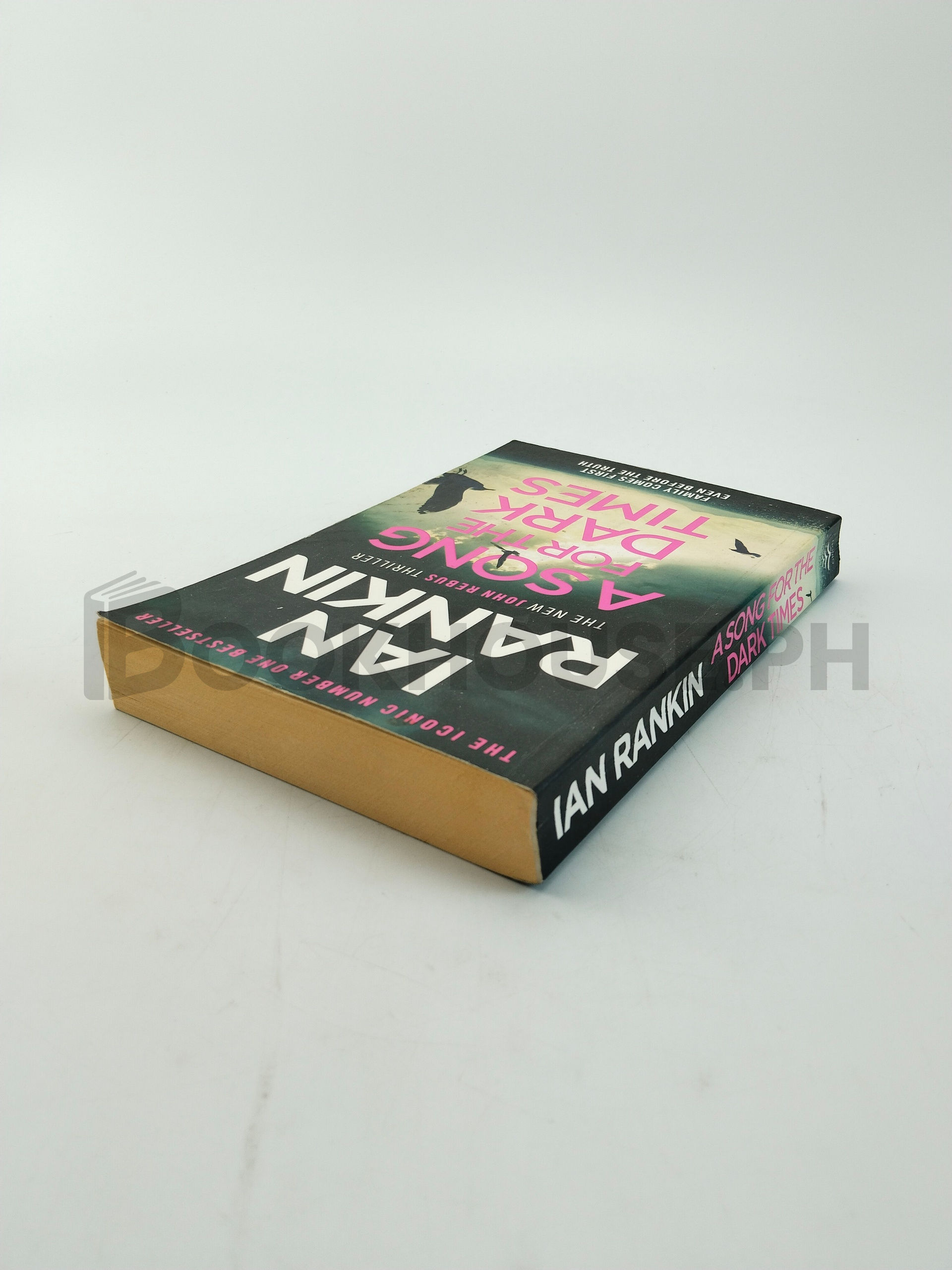 Song For The Dark Times by Ian Rankin - Image 2