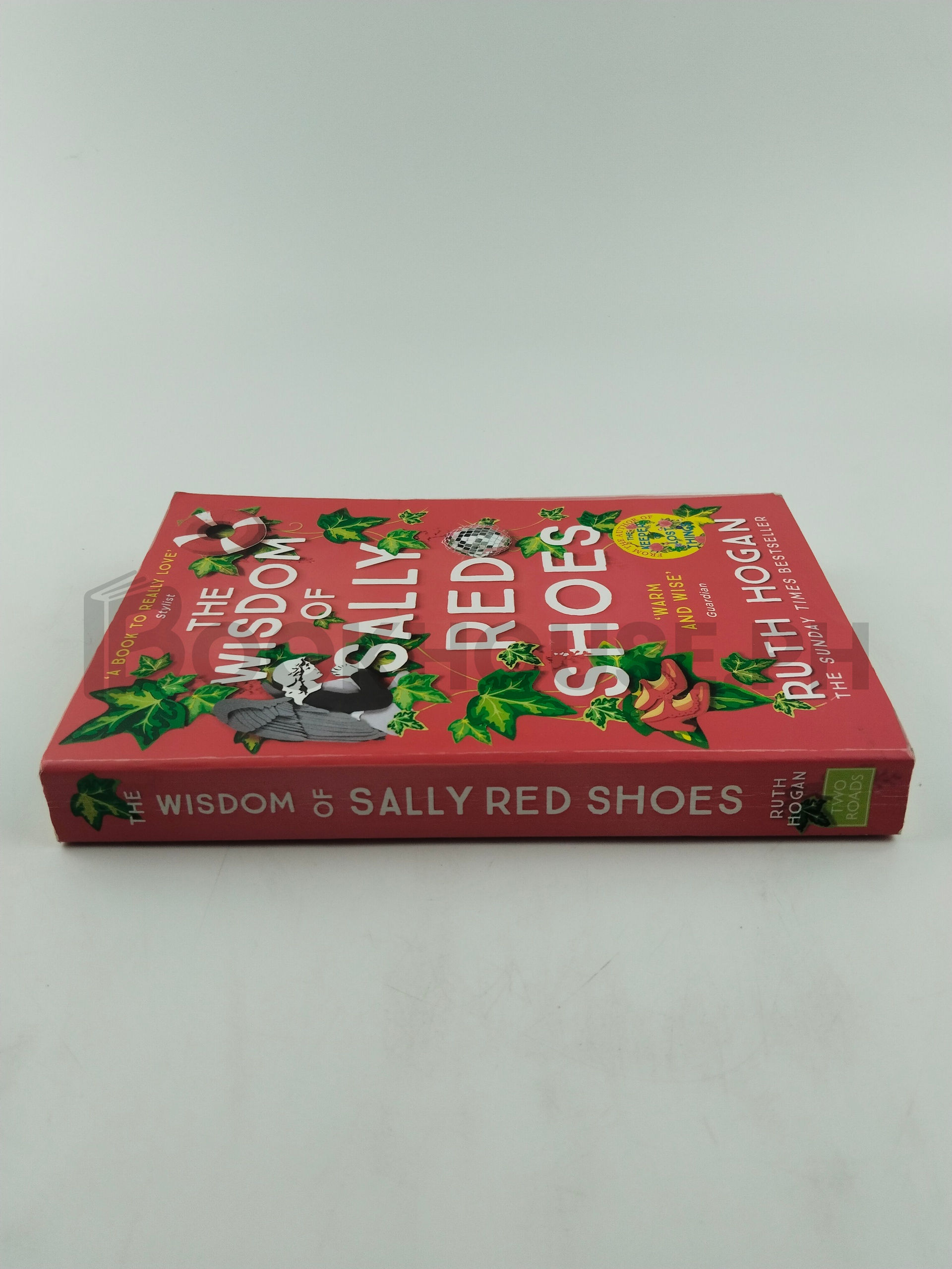 The Wisdom Of Sally Red Shoes by Ruth Hogan - Image 3