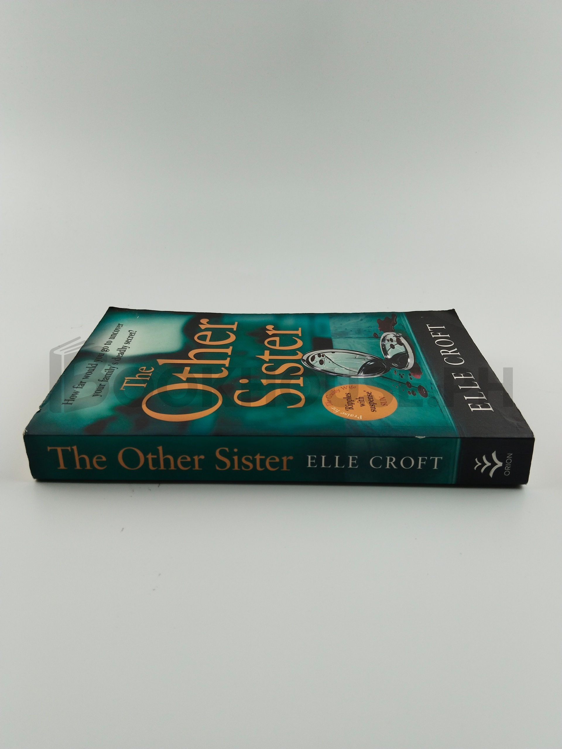 The Other Sister by Elle Croft - Image 3