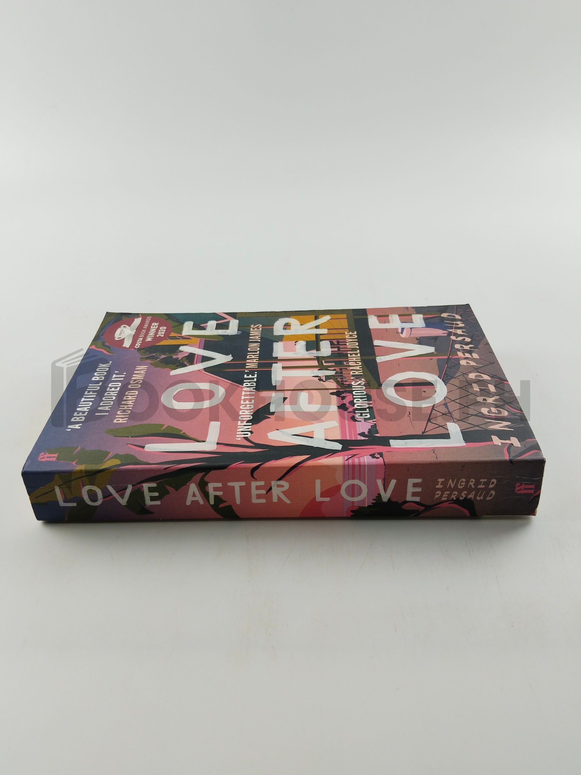 Love After Love by Ingrid Persaud - Image 3