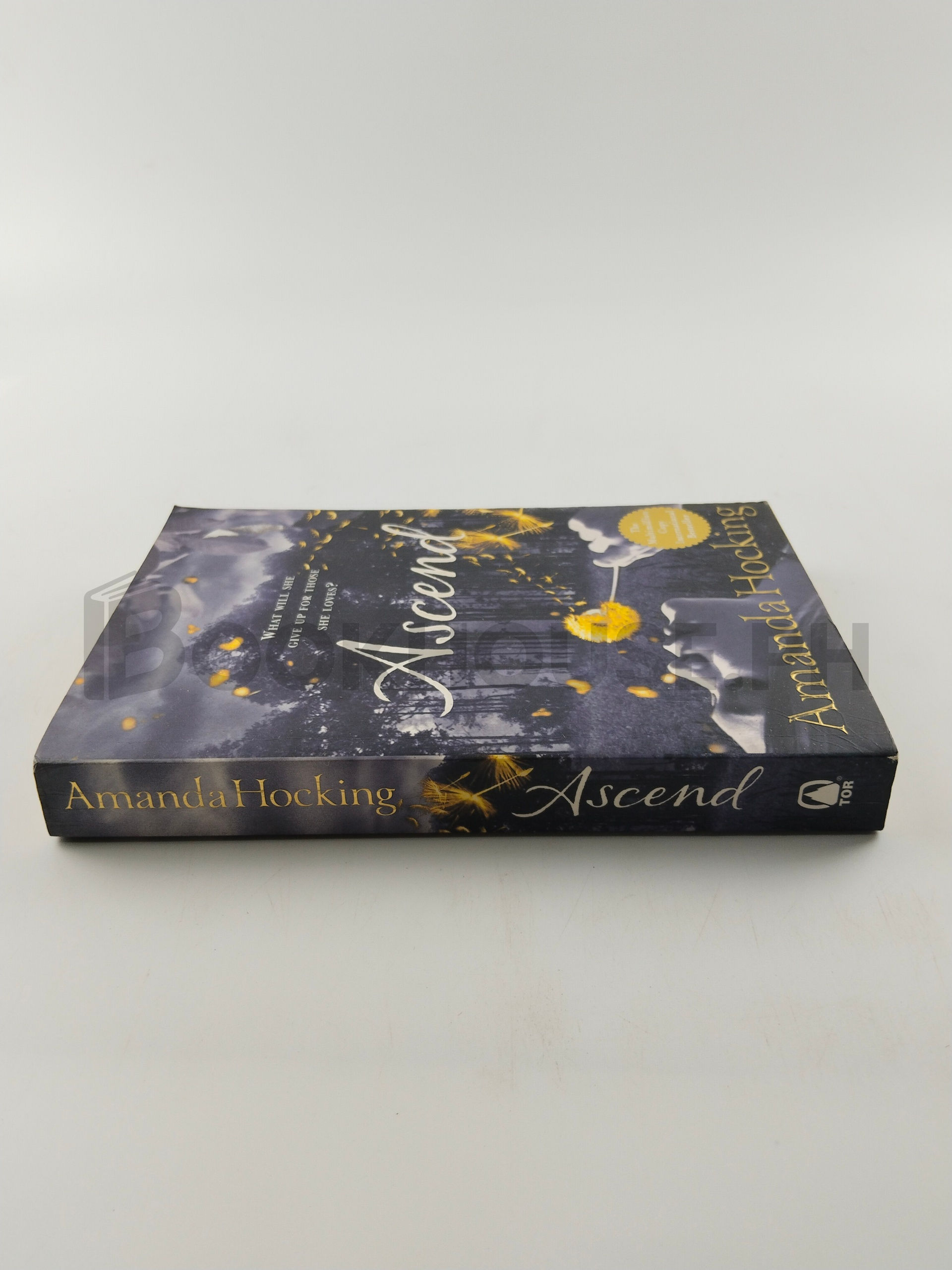 Ascend by Amanda Hocking - Image 3