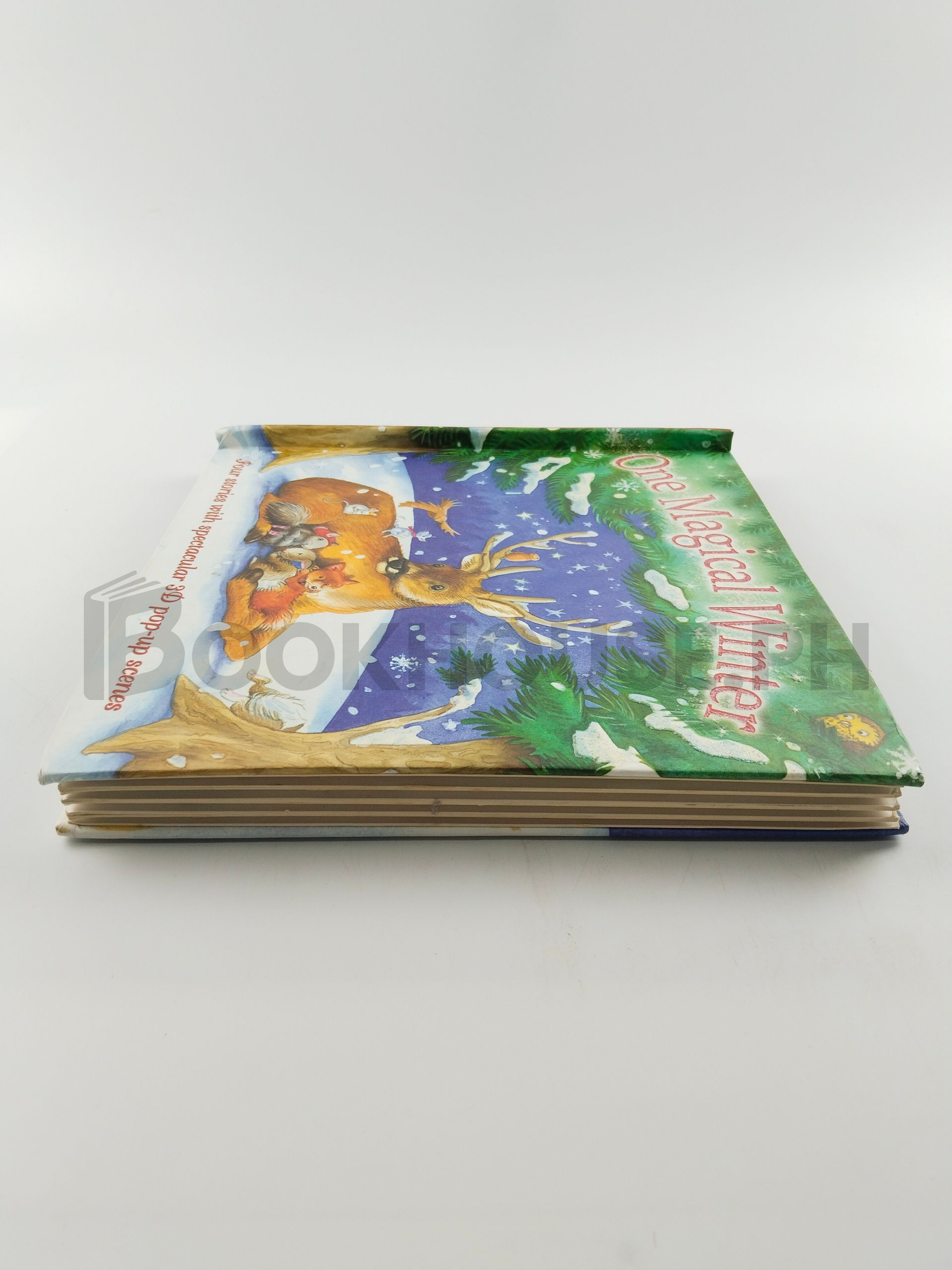 One Magical Winter by Cat's Pyjamas Books - Image 4