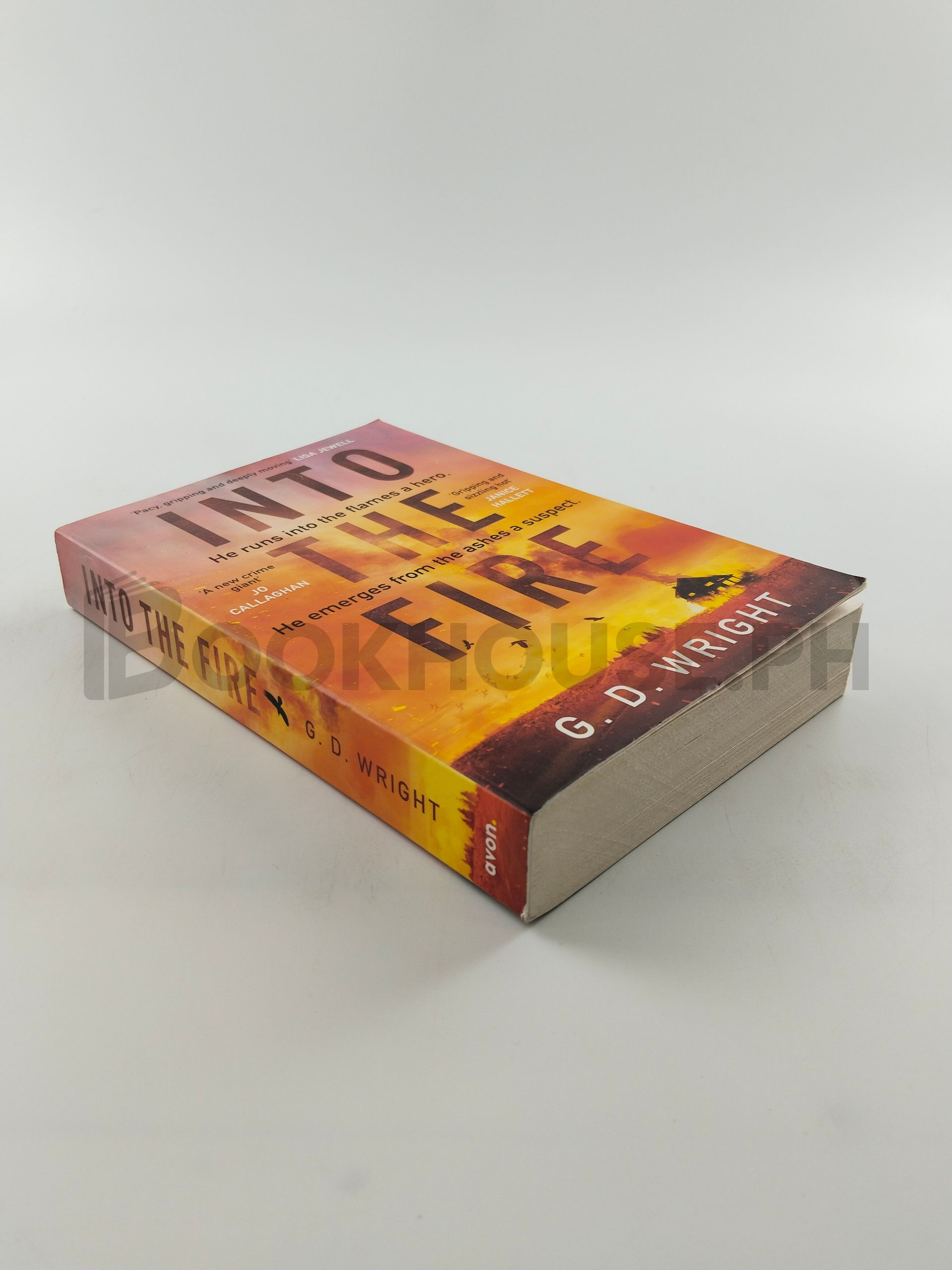 Into The Fire by G. D. Wright - Image 2