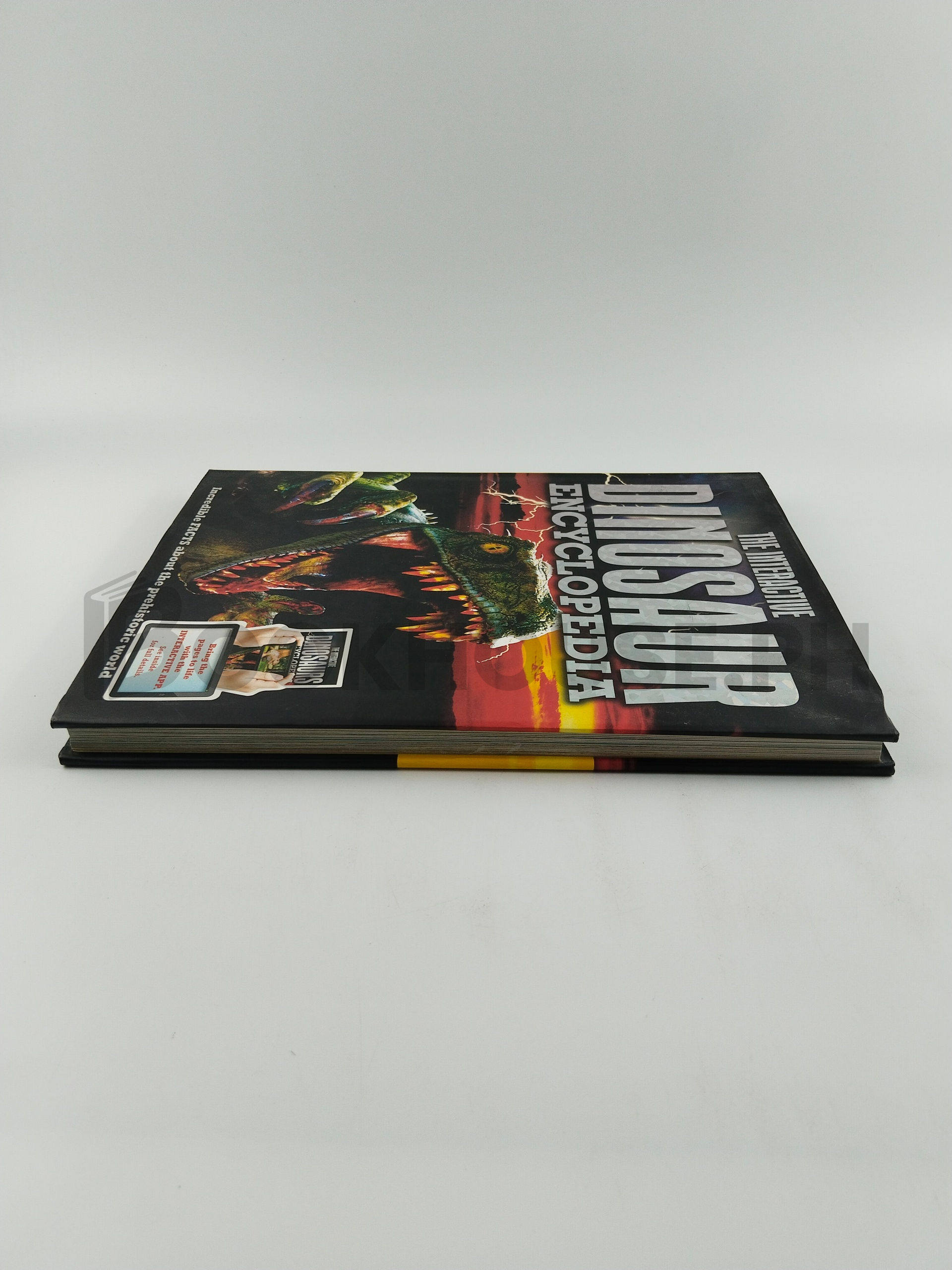 Dinosaurs by Igloobooks - Image 4