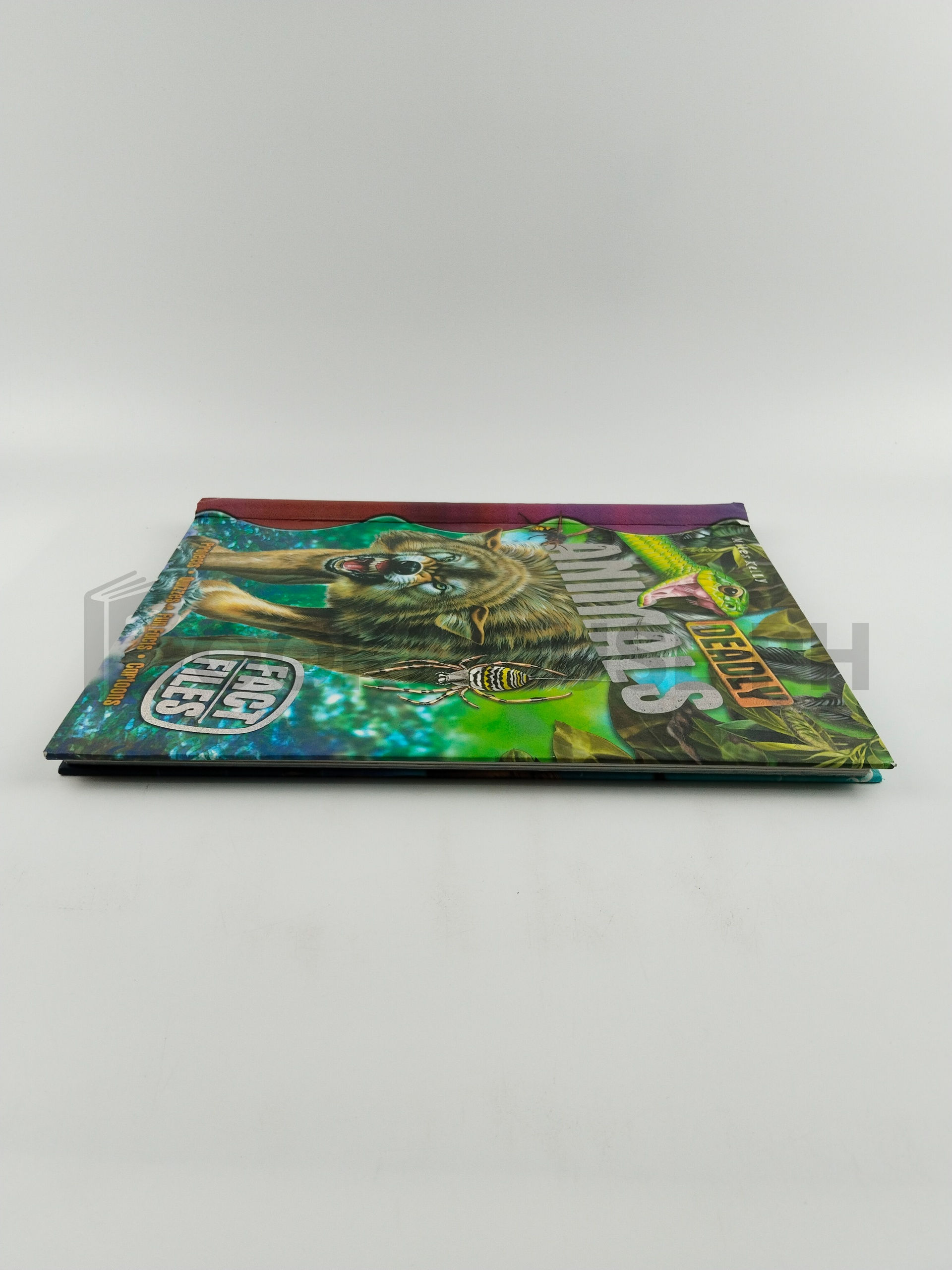 Deadly Animals by Camilla De La Bédoyère, Steve Parker - Image 4