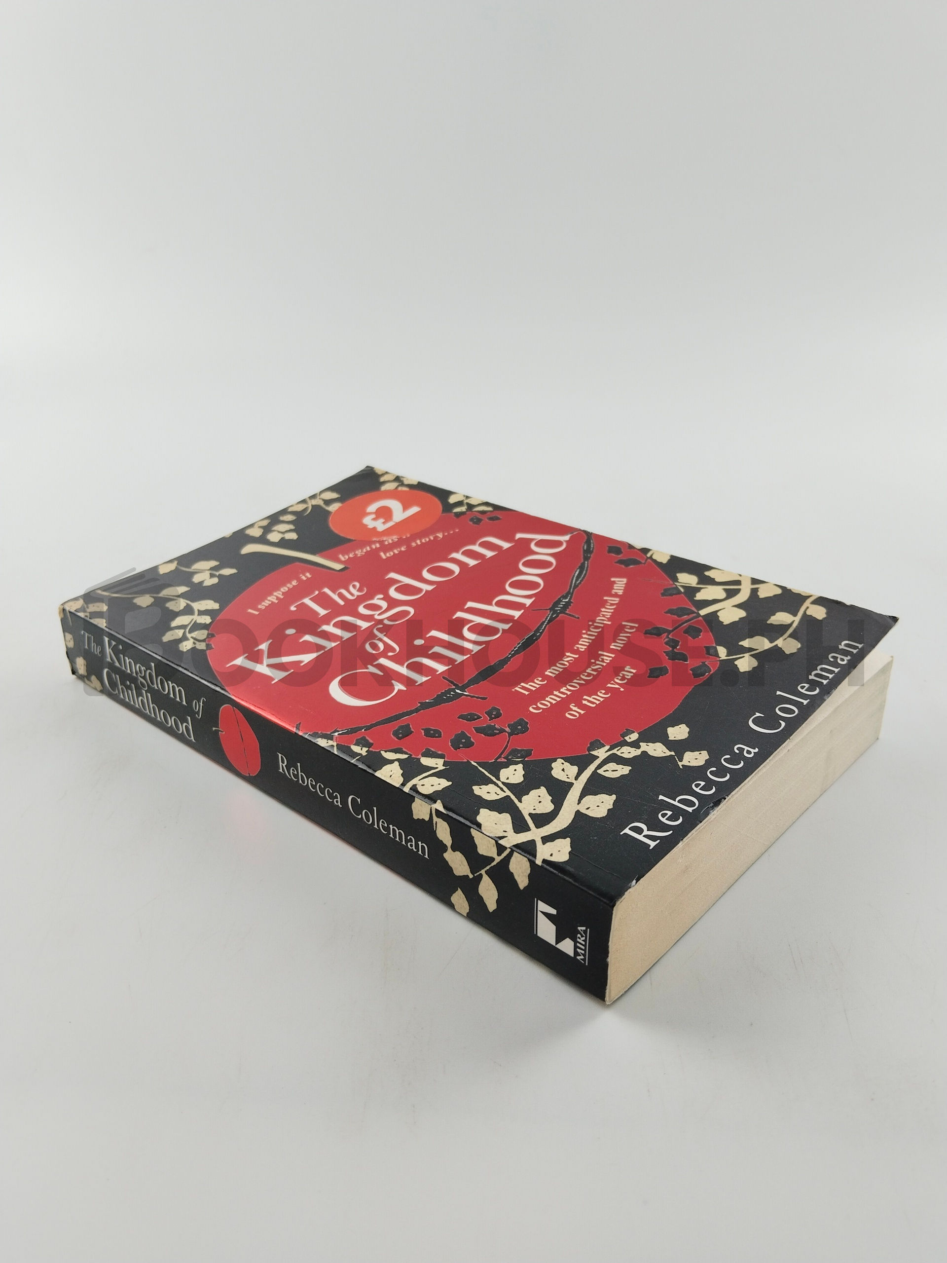 The Kingdom Of Childhood by Rebecca Coleman - Image 2