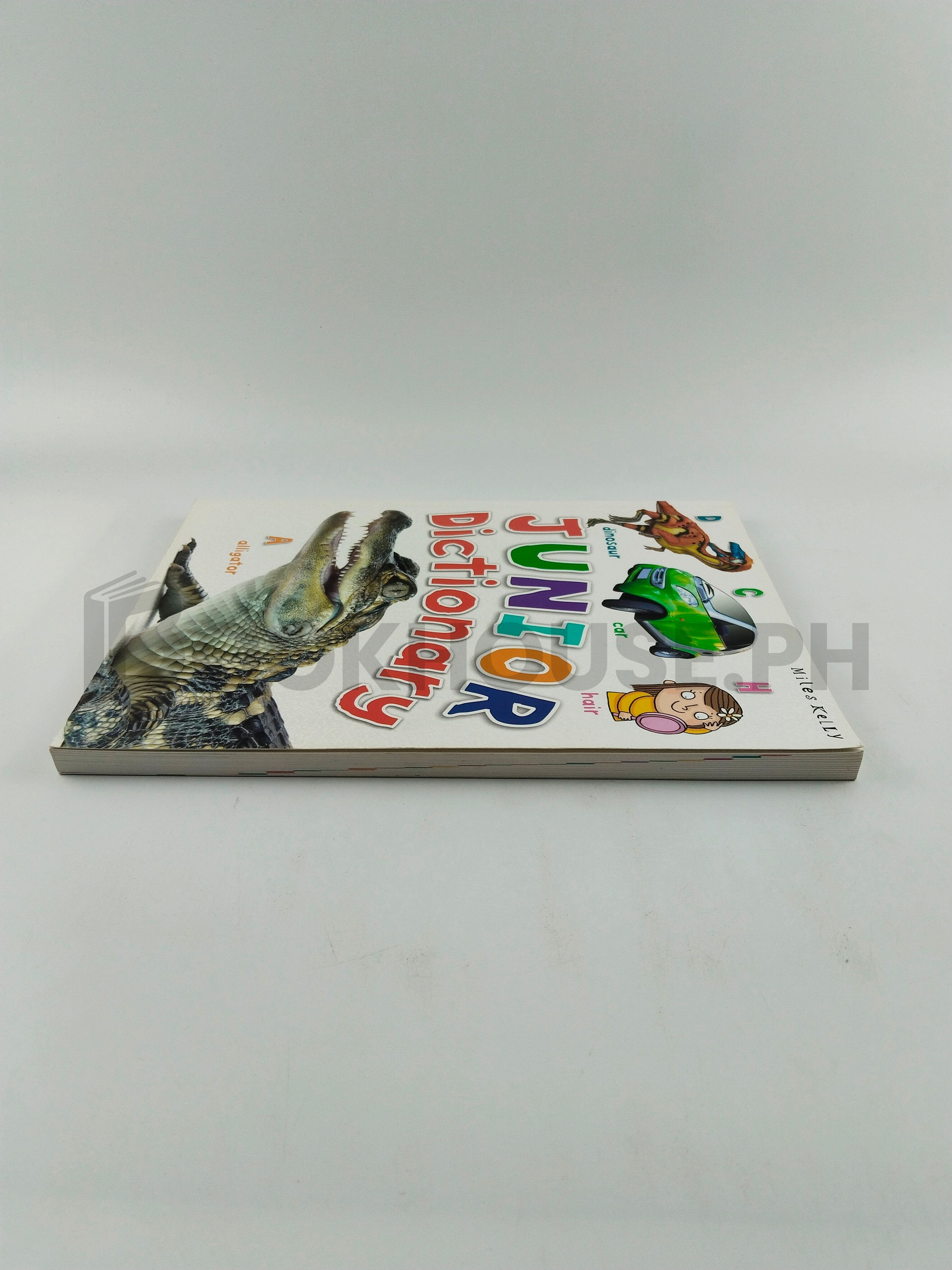 Junior Dictionary by Richard Kelly - Image 4