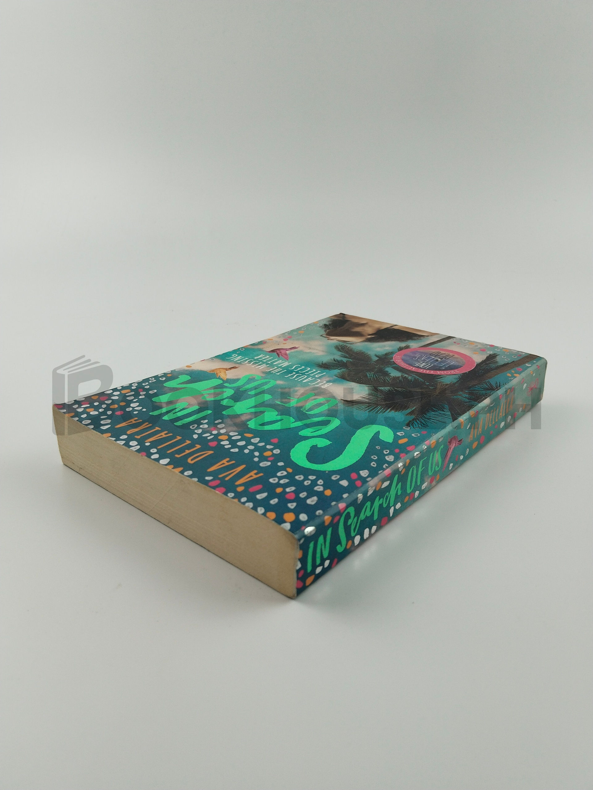 In Search Of Us by Ava Dellaira - Image 2