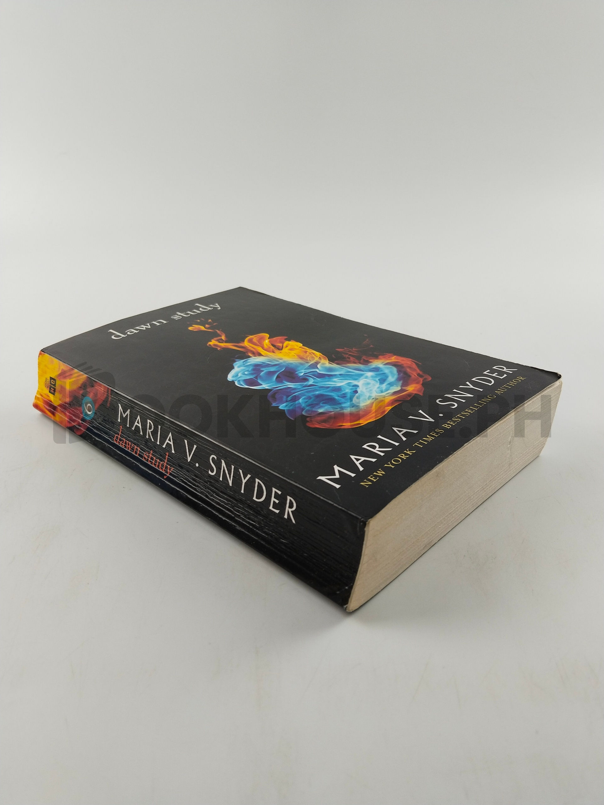 Dawn Study by Maria V. Snyder - Image 2