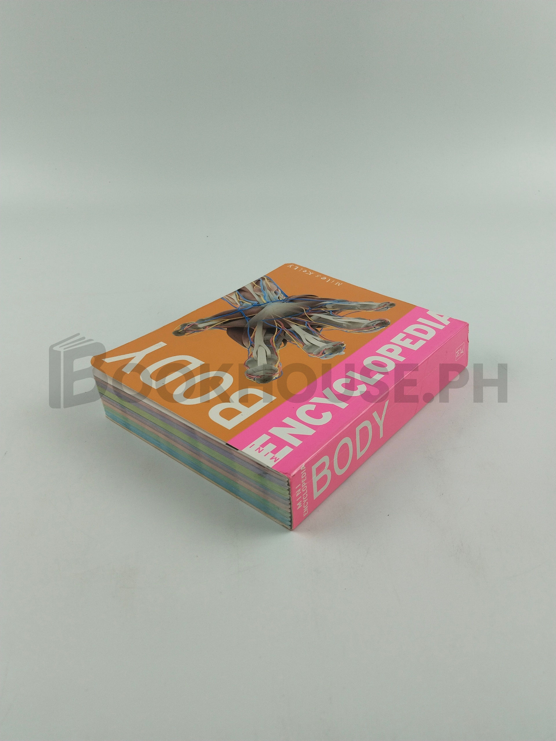 Body by Bel Gallagher - Image 2