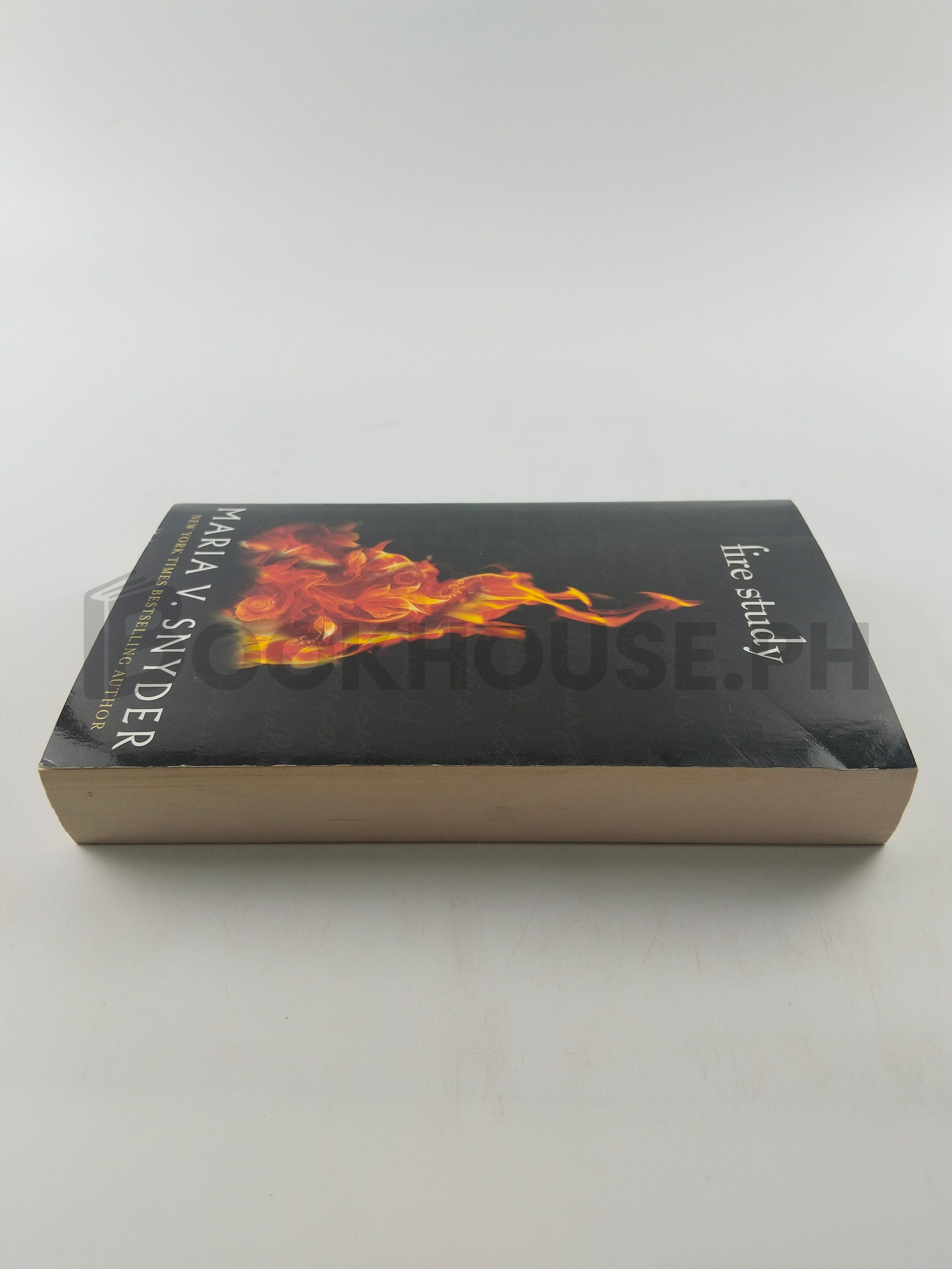 Fire Study by Maria V. Snyder - Image 4