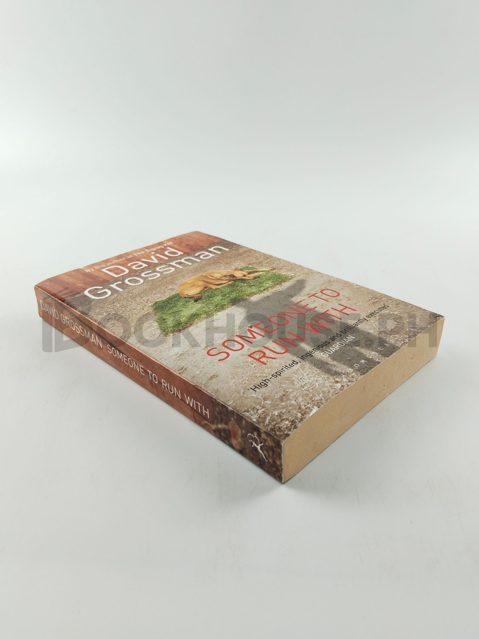 Someone To Run With by David Grossman - Image 2