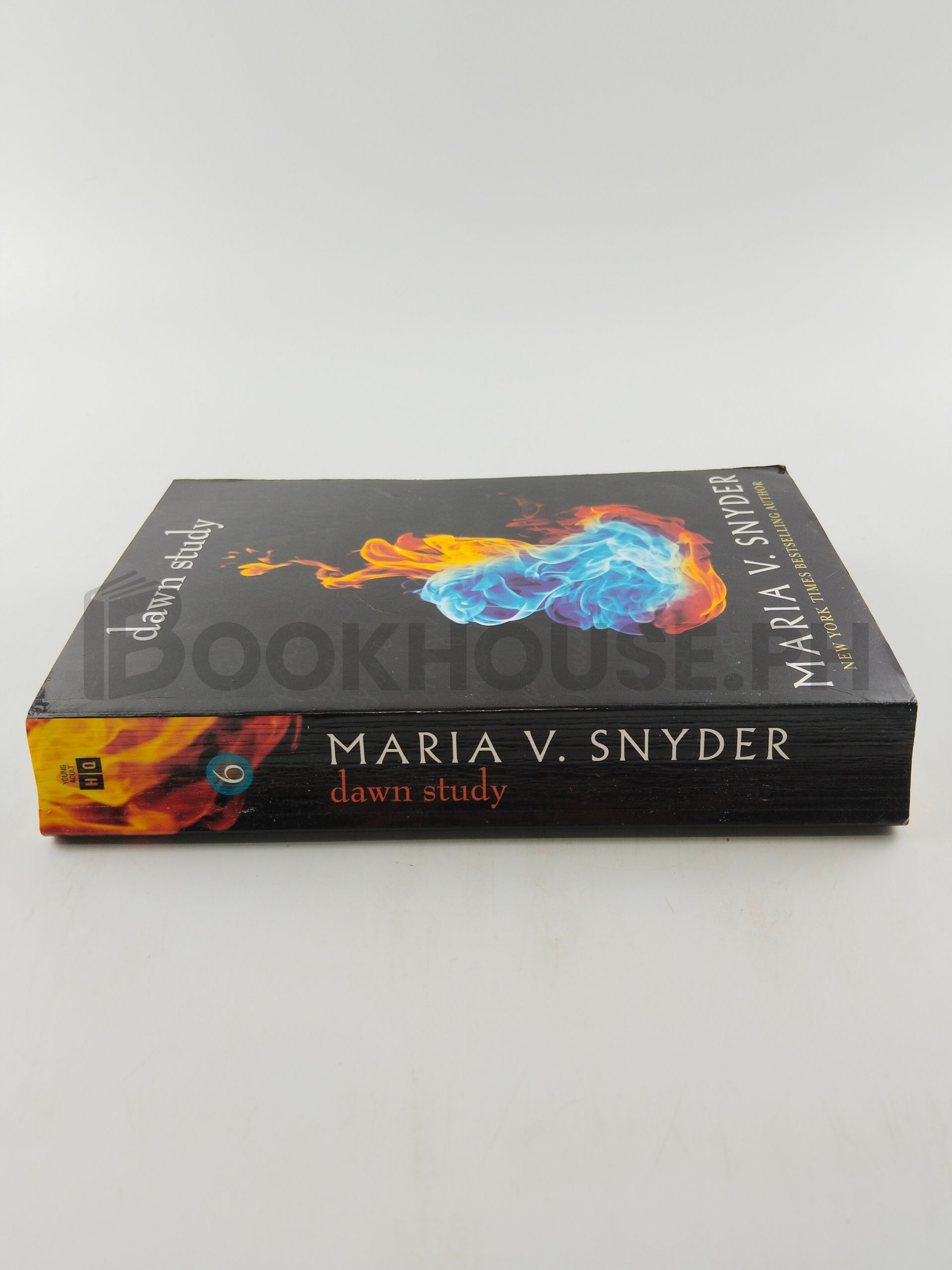 Dawn Study by Maria V. Snyder - Image 3