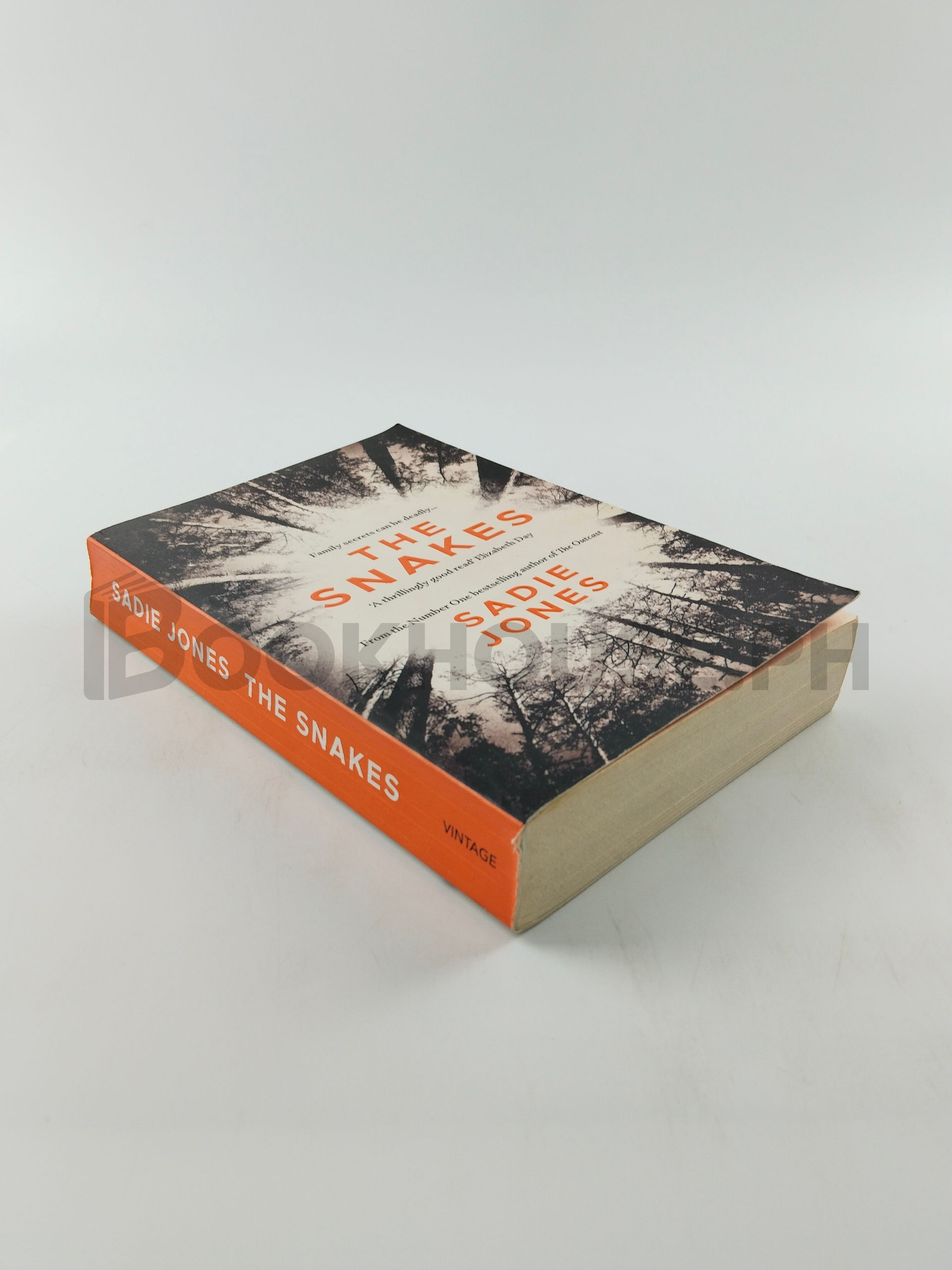 The Snakes by Sadie Jones - Image 2