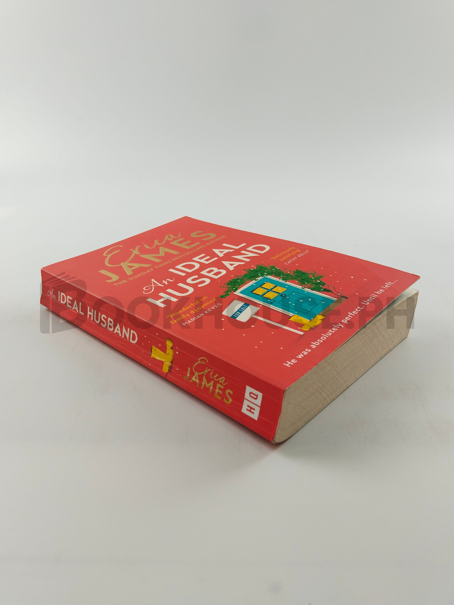 An Ideal Husband by Erica James - Image 2