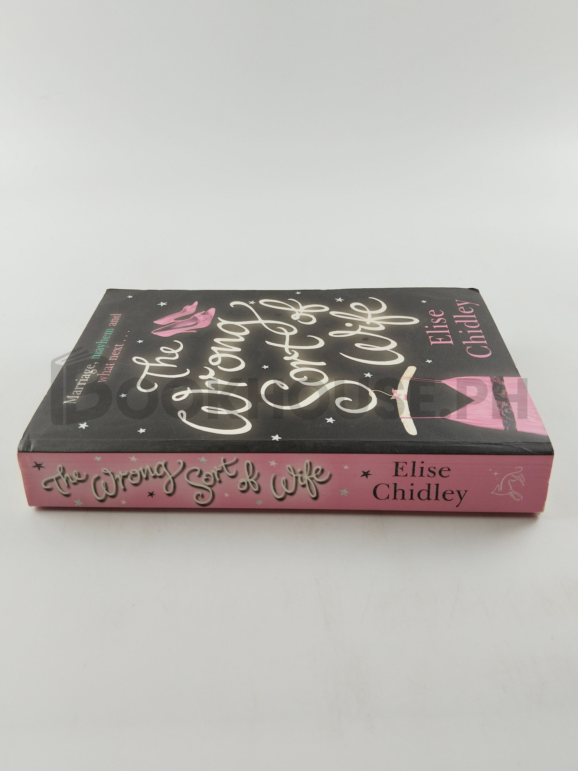 The Wrong Sort Of Wife? by Elise Chidley - Image 3