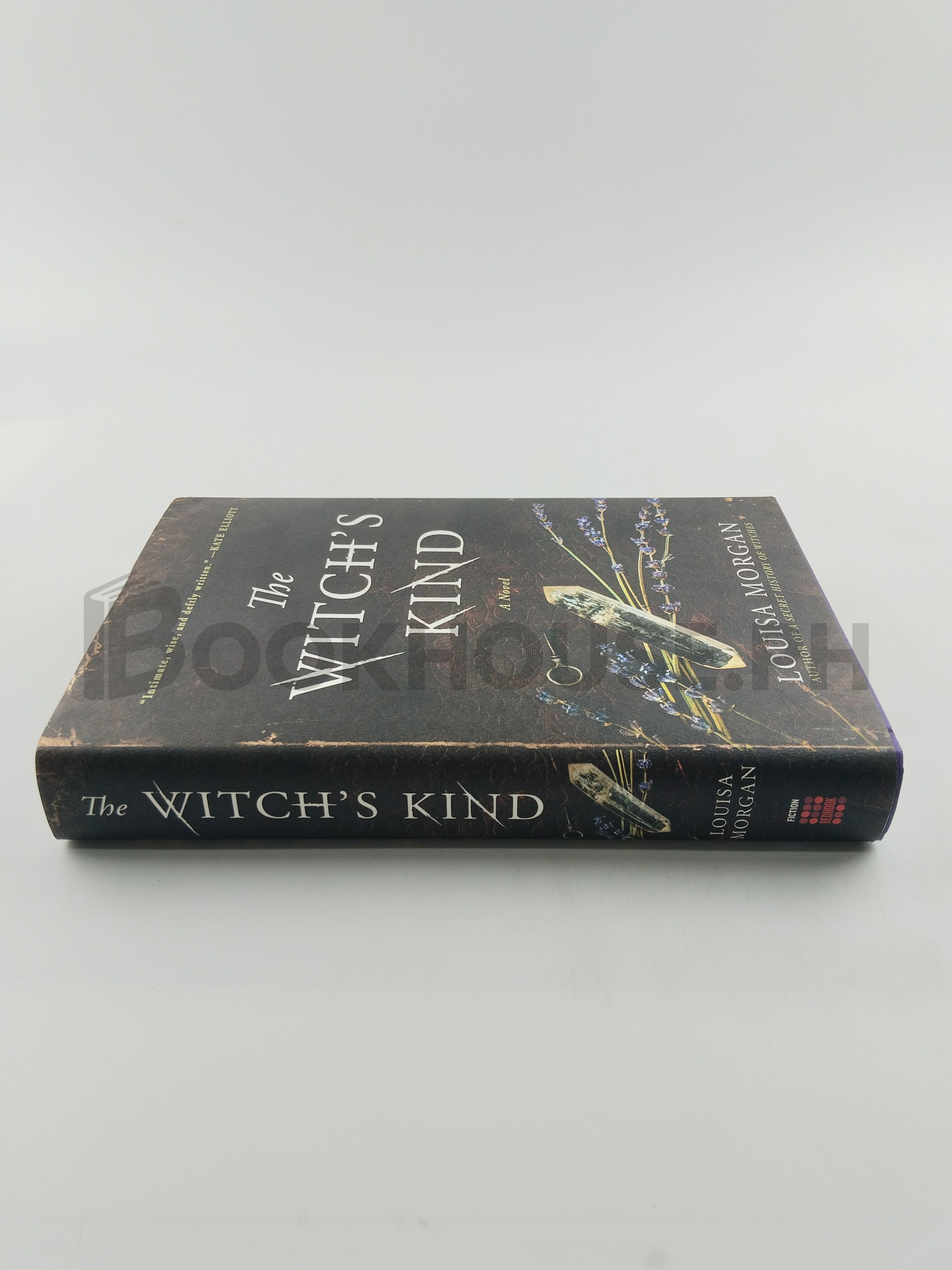 The Witch's Kind by Louisa Morgan - Image 3