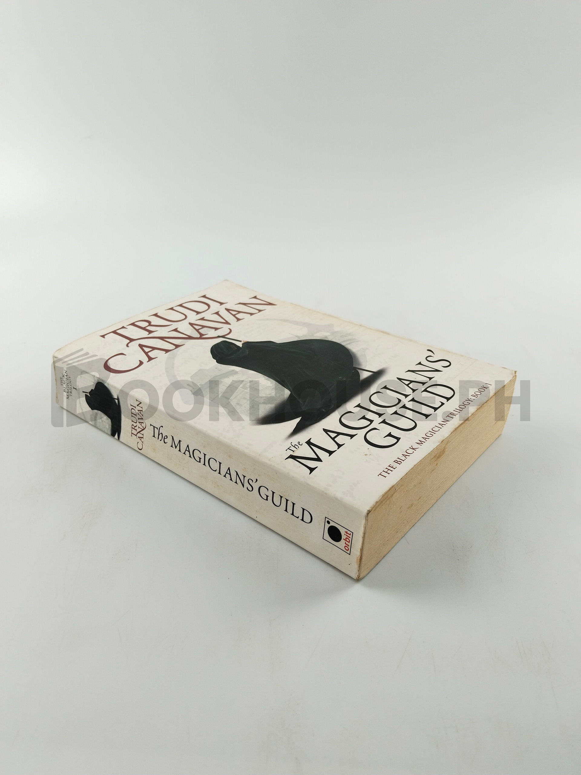 The Magicians' Guild by Trudi Canavan - Image 2