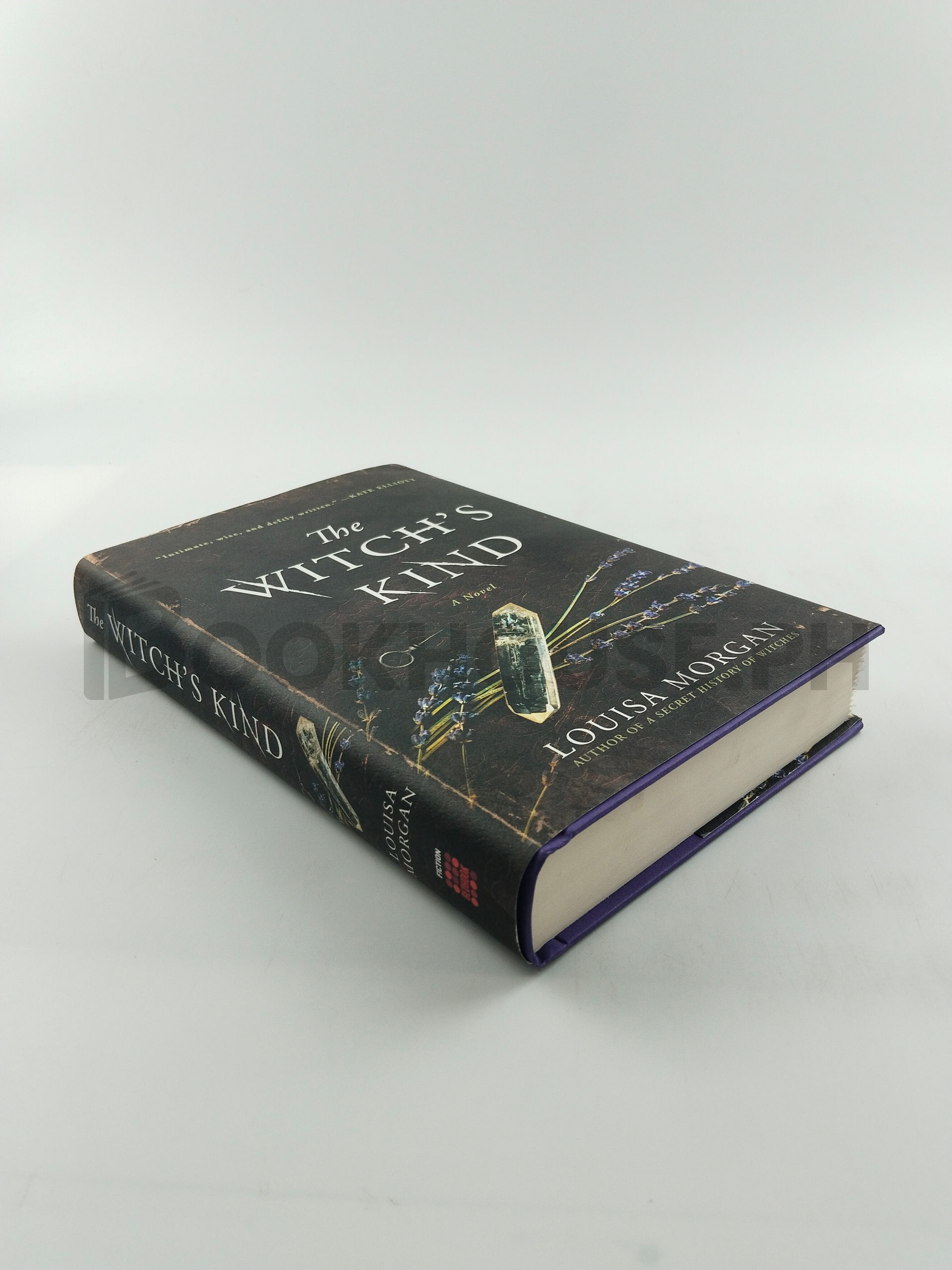 The Witch's Kind by Louisa Morgan - Image 2