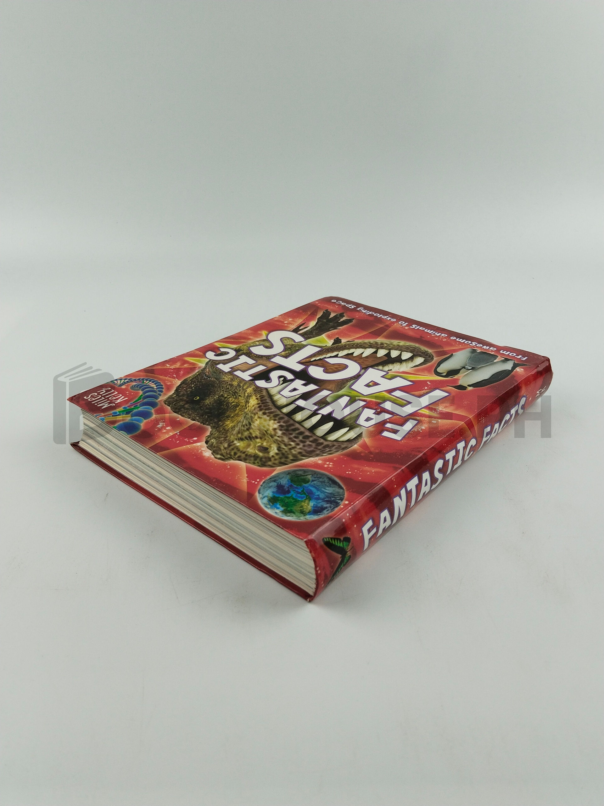 Fantastic Facts by Miles Kelly - Image 2