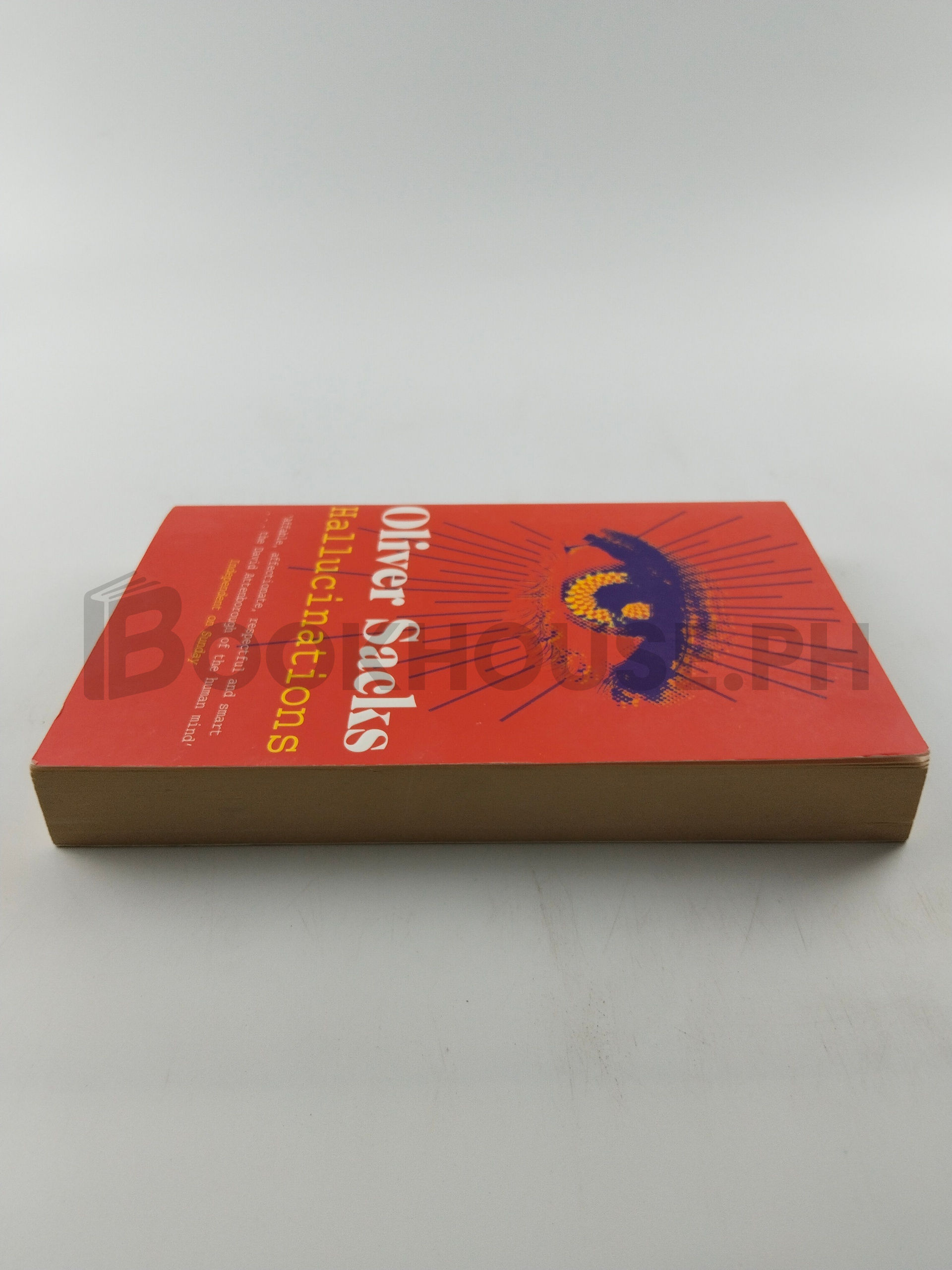 Hallucinations by Oliver Sacks - Image 4