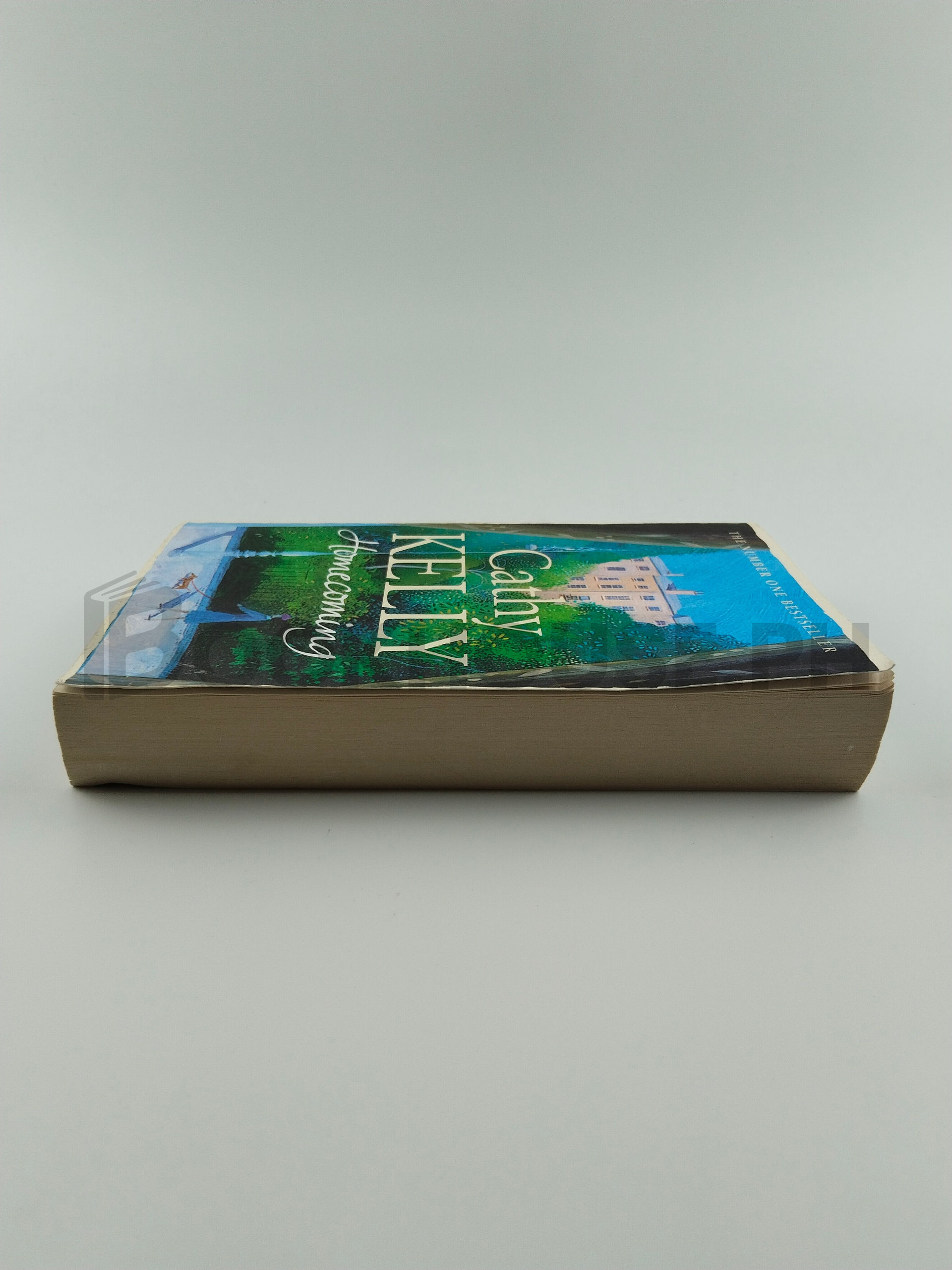 Homecoming by Cathy Kelley - Image 4