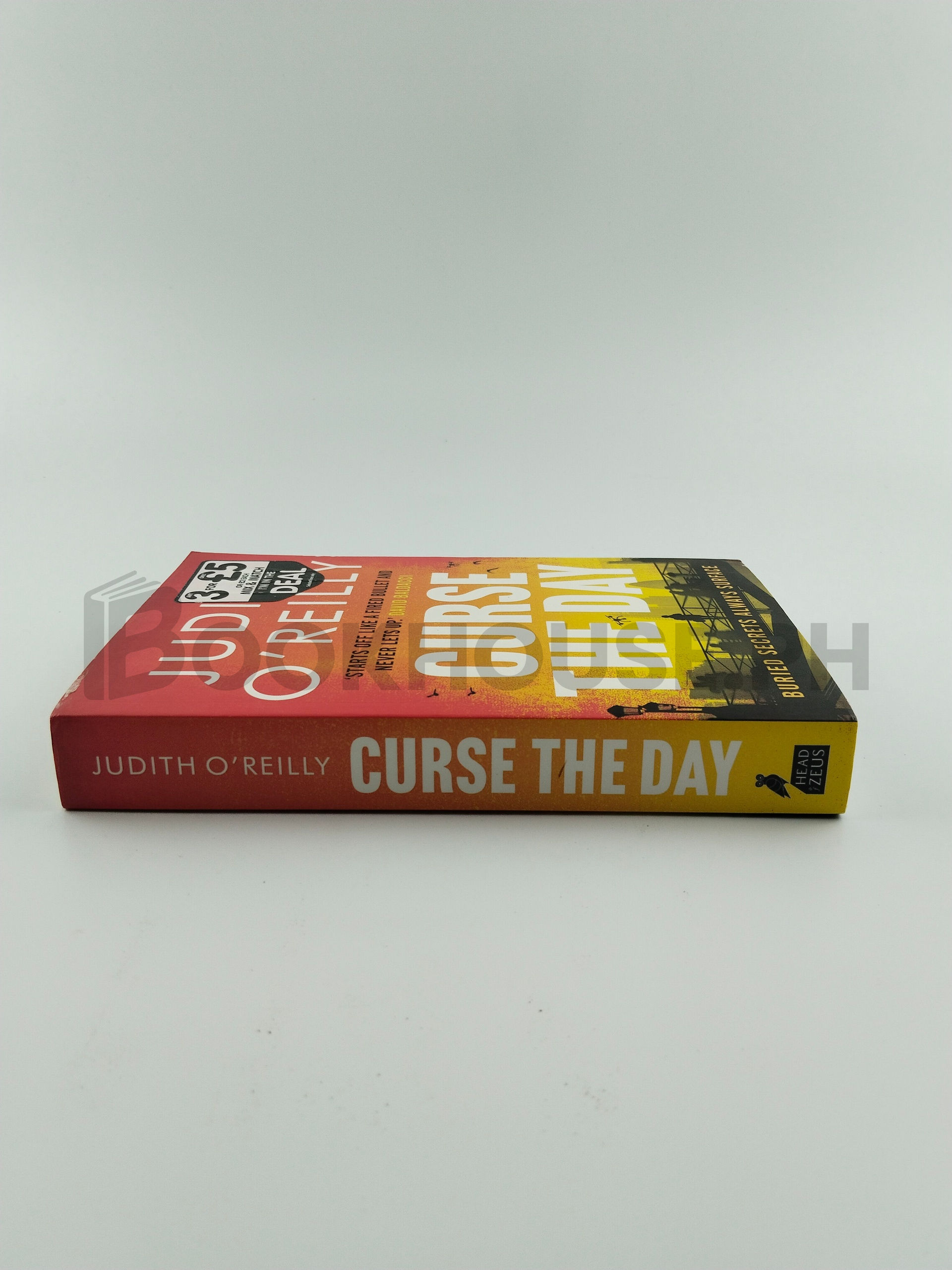 Curse The Day by Judith O'reilly - Image 3