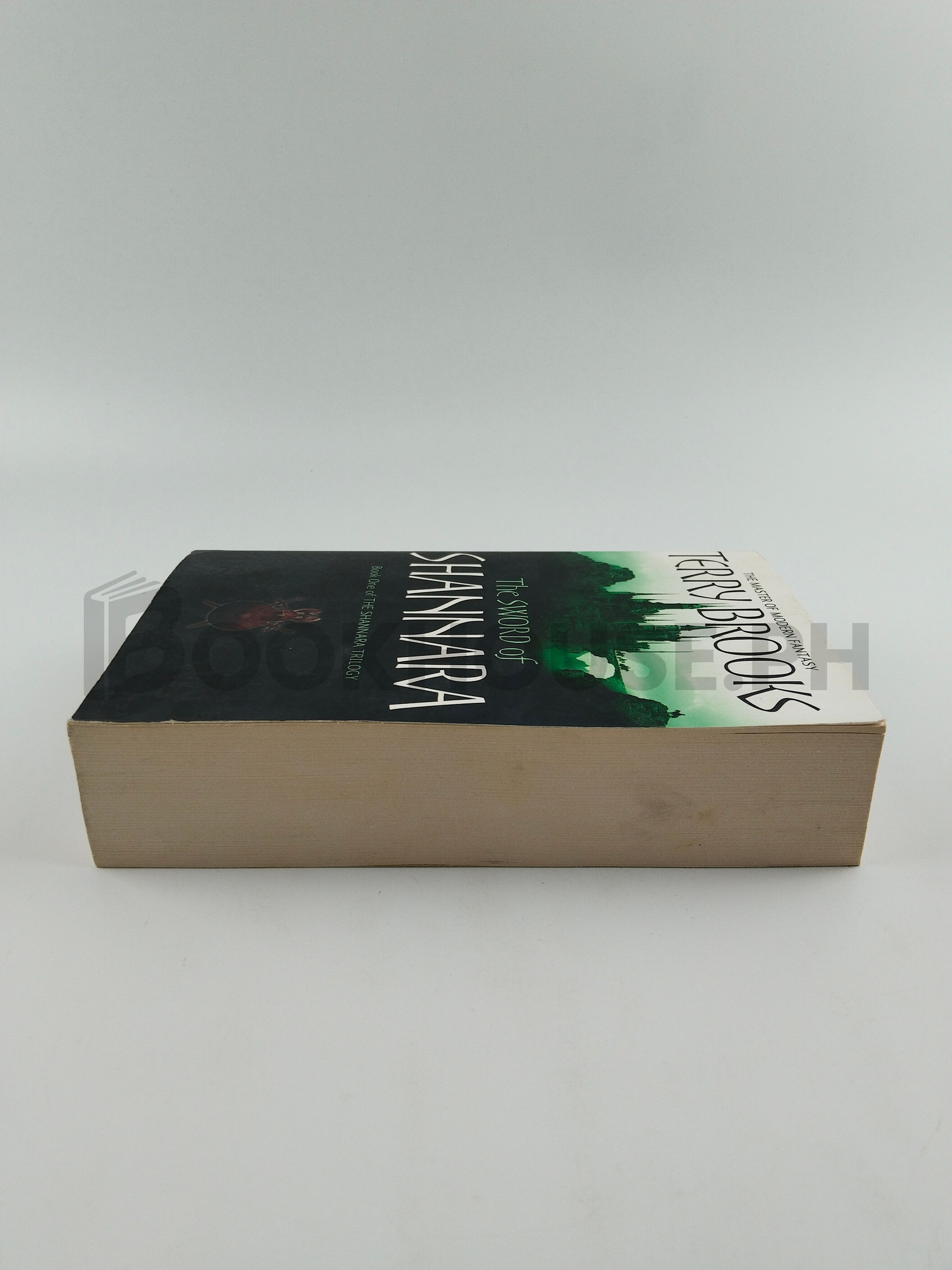 The Sword Of Shannara by Terry Brooks - Image 4