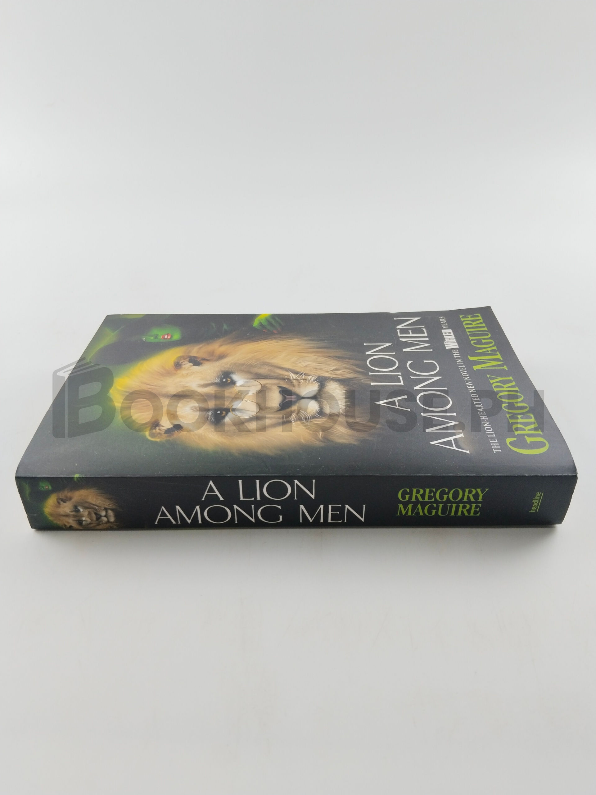 A Lion Among Men by Gregory Maguire - Image 3