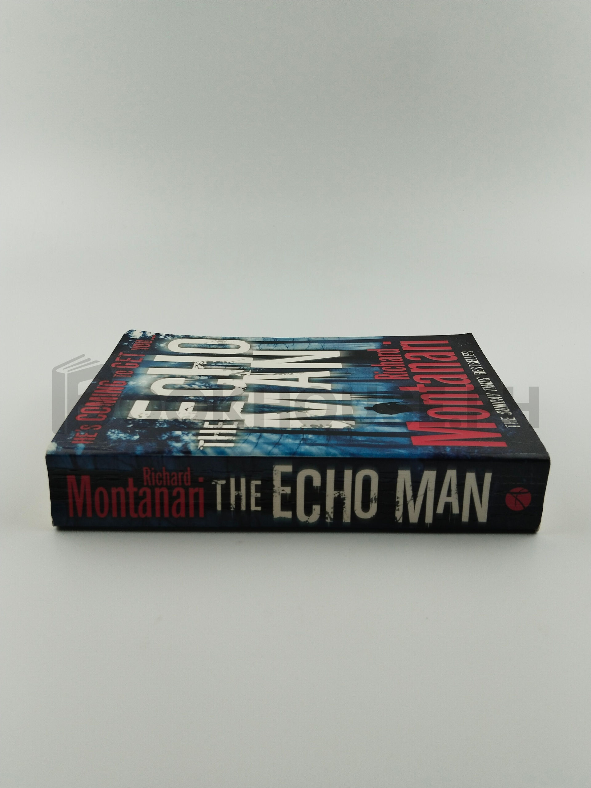 The Echo Man by Richard Montanari - Image 3