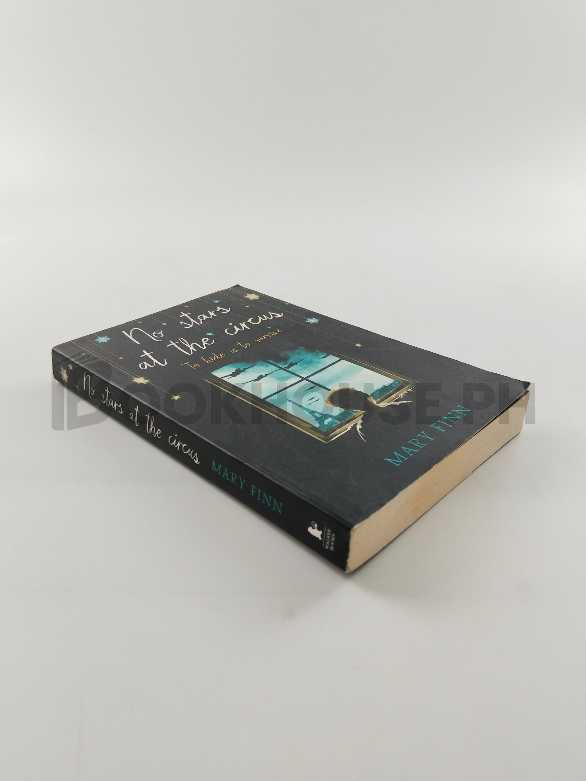 No Stars At The Circus by Mary Finn - Image 2