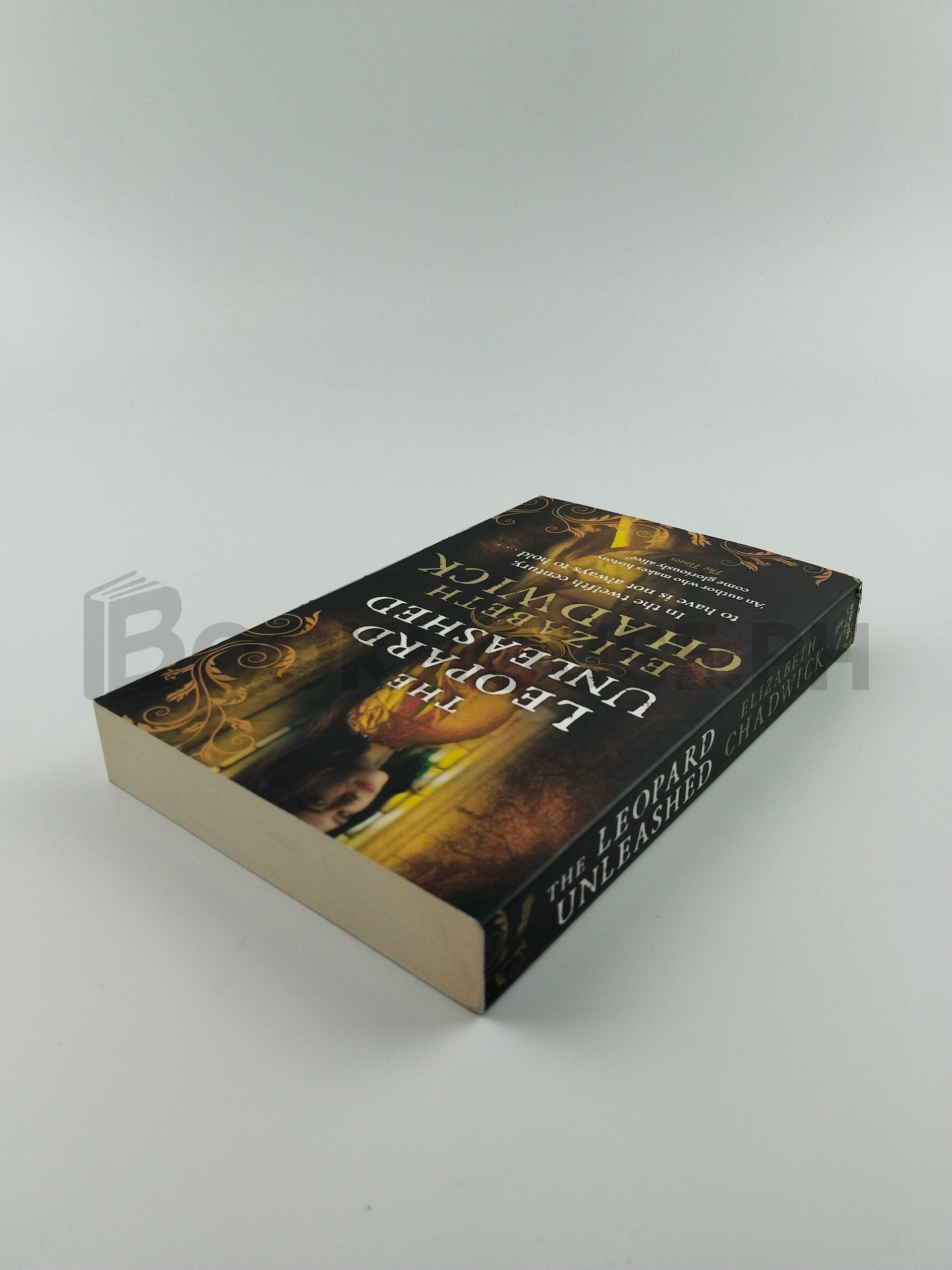 The Leopard Unleashed by Elizabeth Chadwick - Image 2