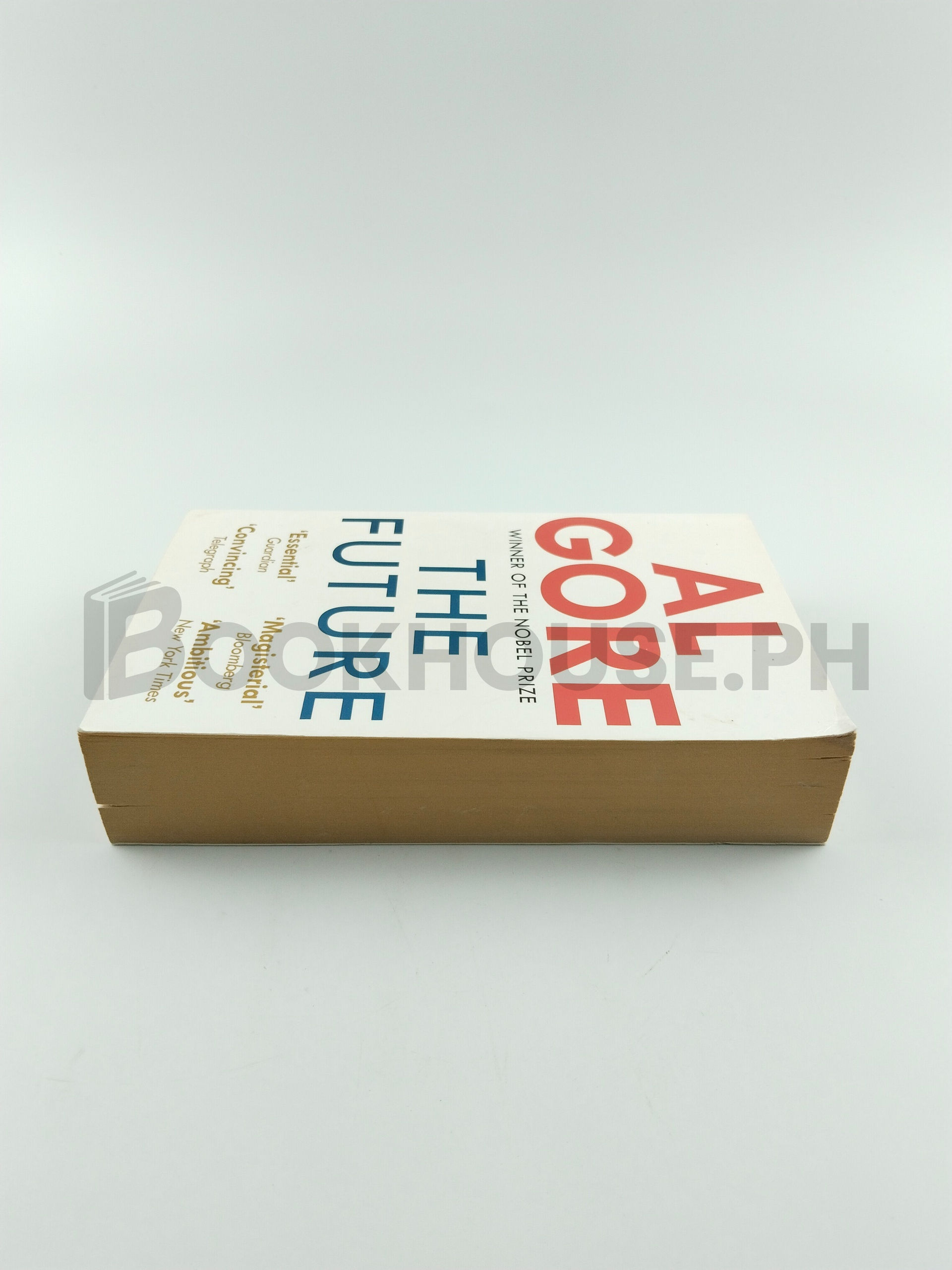 The Future by Al Gore - Image 4