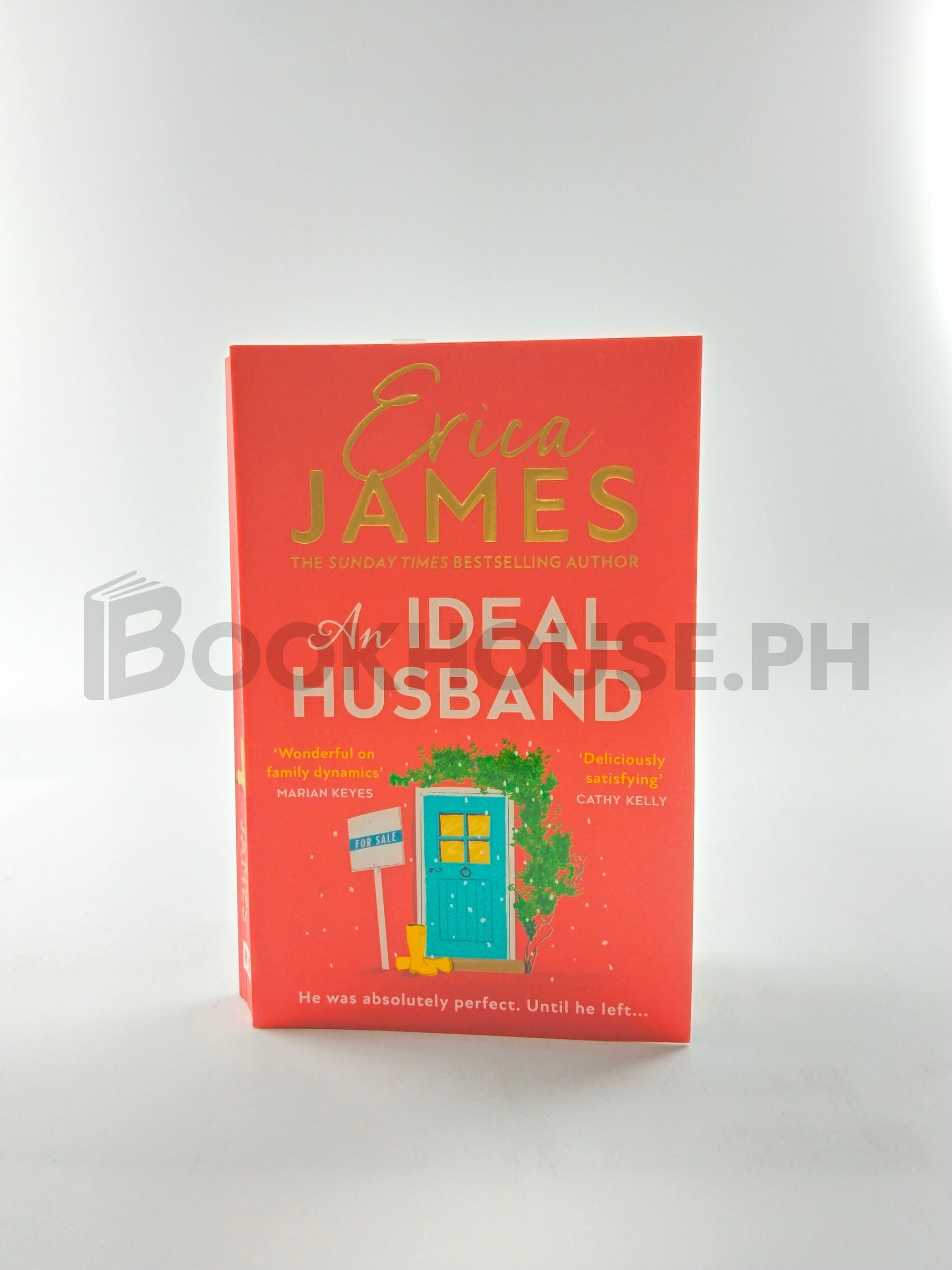An Ideal Husband by Erica James