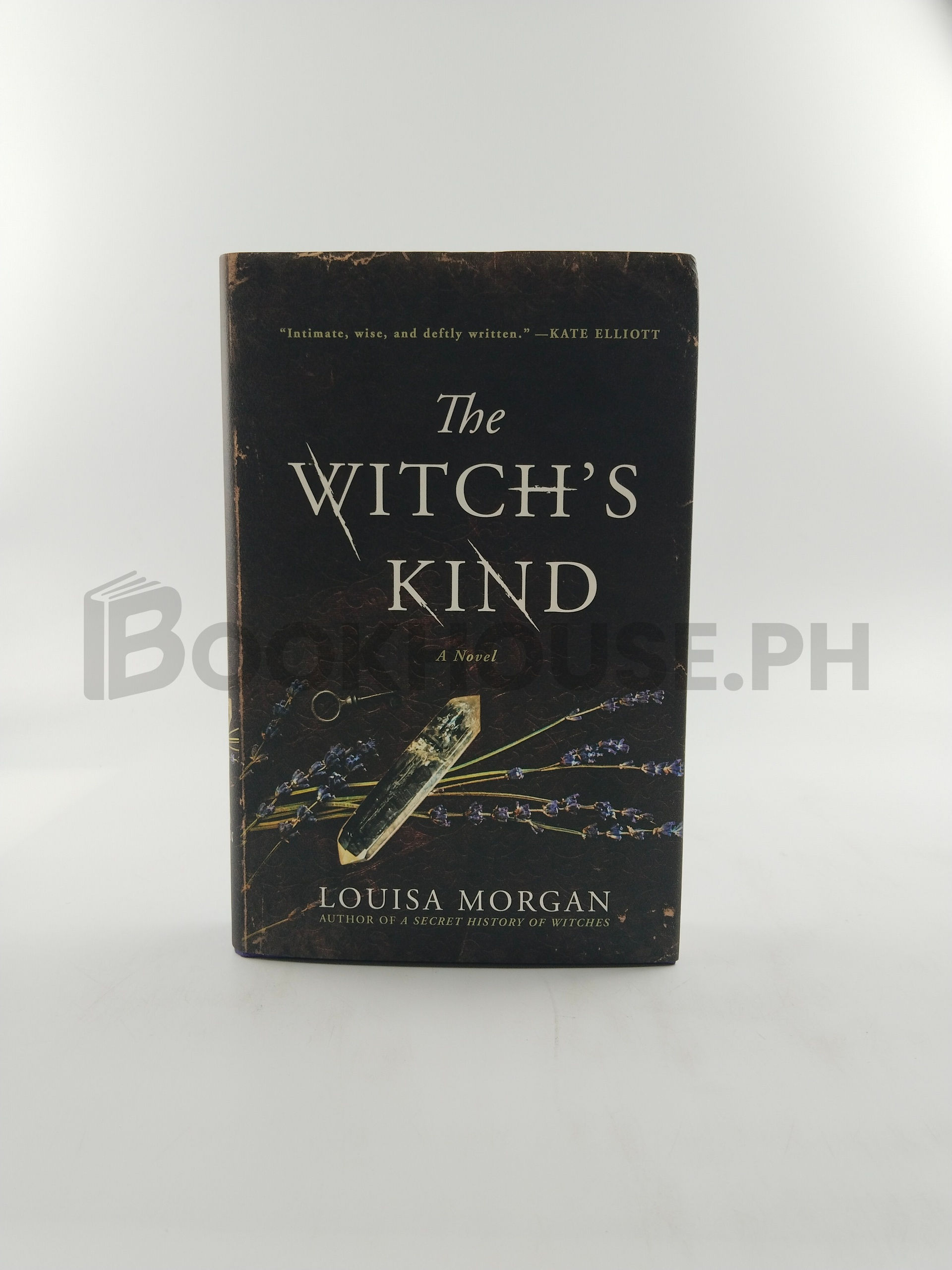 The Witch's Kind by Louisa Morgan
