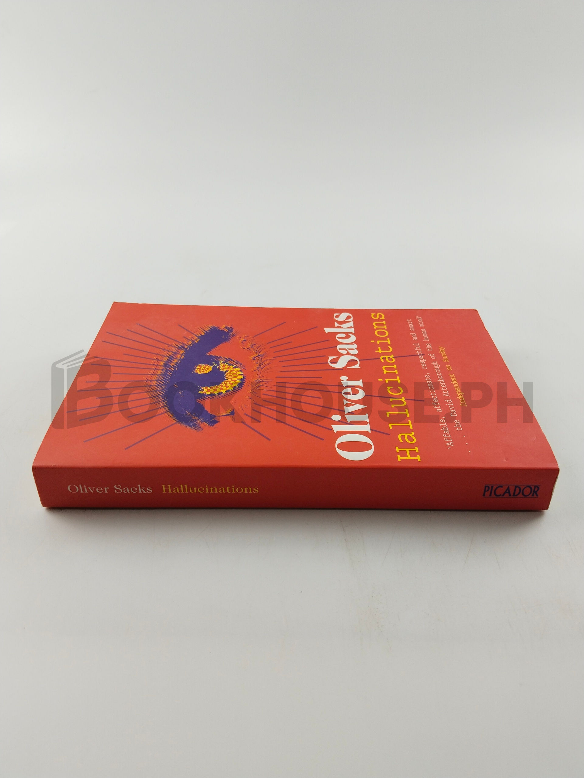 Hallucinations by Oliver Sacks - Image 3