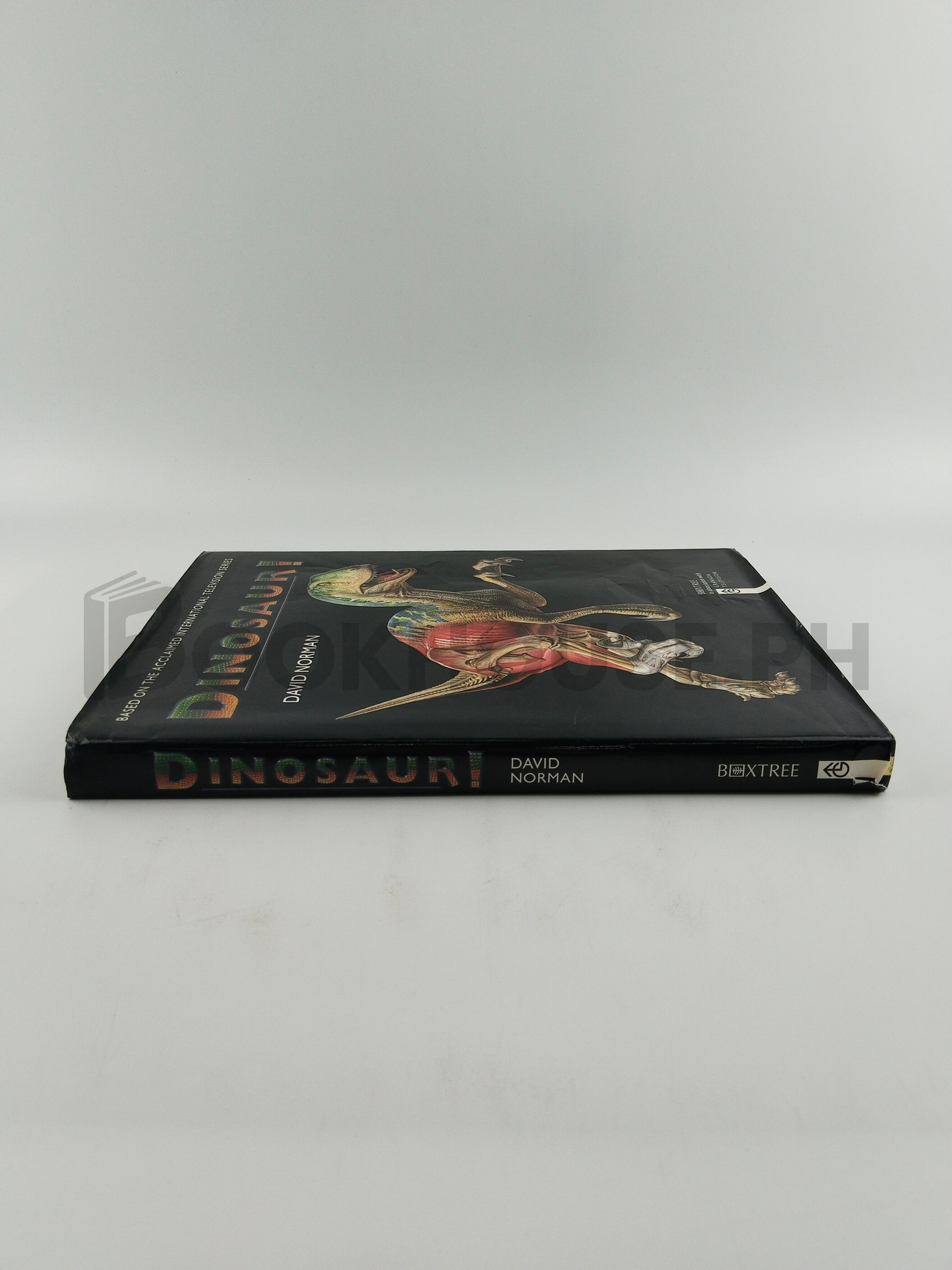 Dinosaur! by David Norman - Image 3
