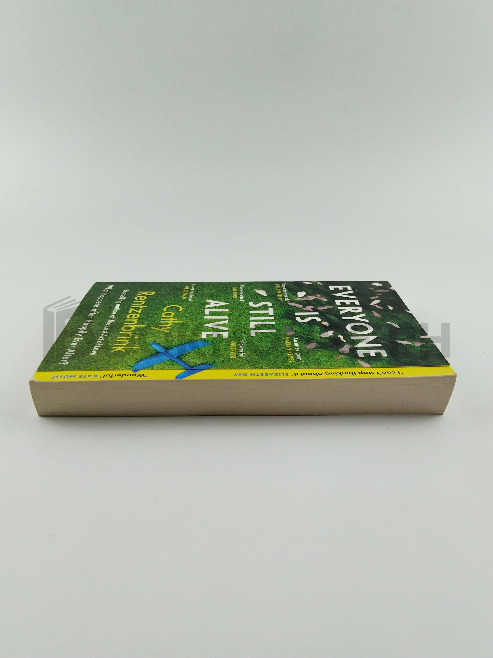 Everyone Is Still Alive by Cathy Rentzenbrink - Image 4