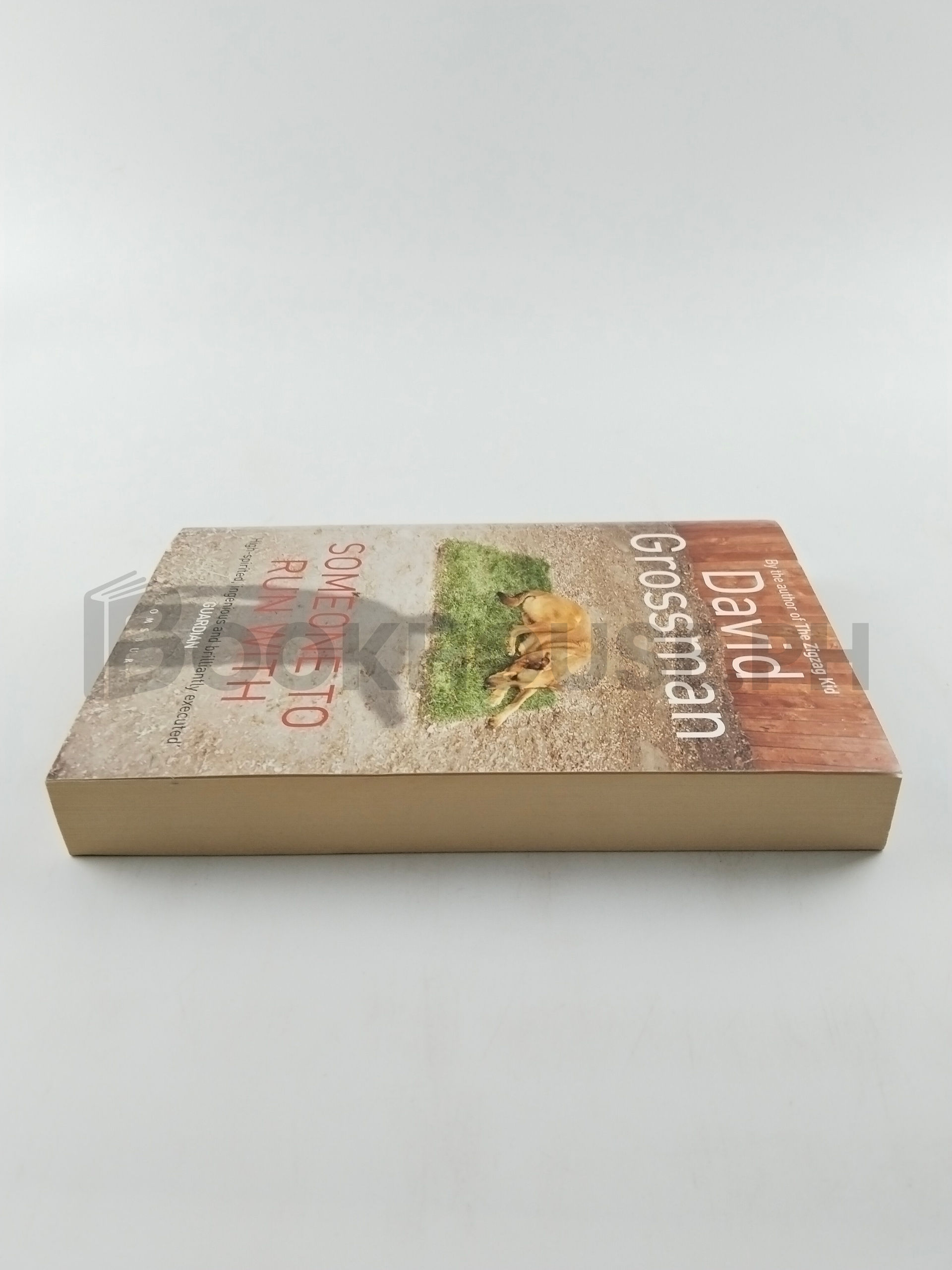 Someone To Run With by David Grossman - Image 4