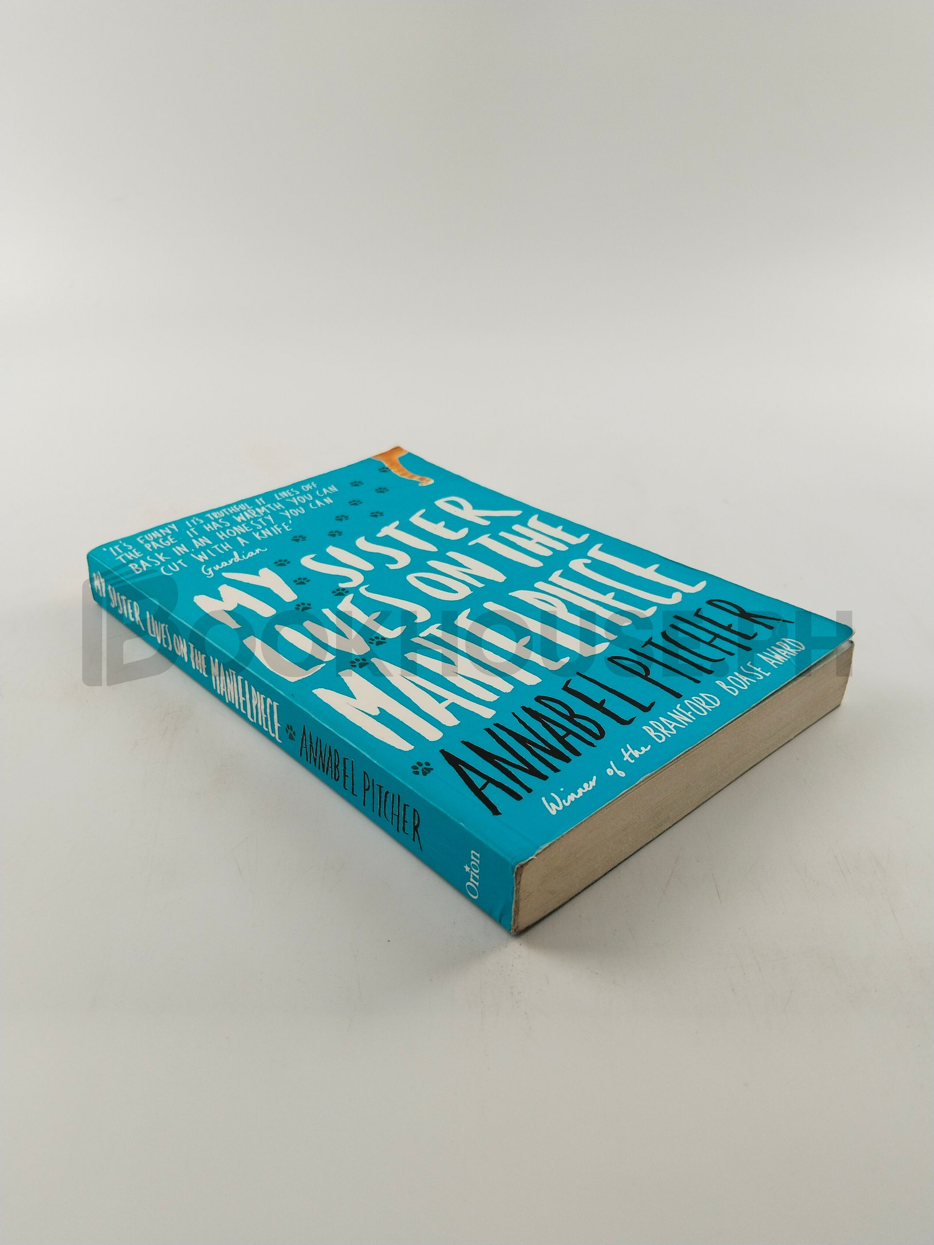 My Sister Lives On The Mantelpiece by Annabel Pitcher - Image 2