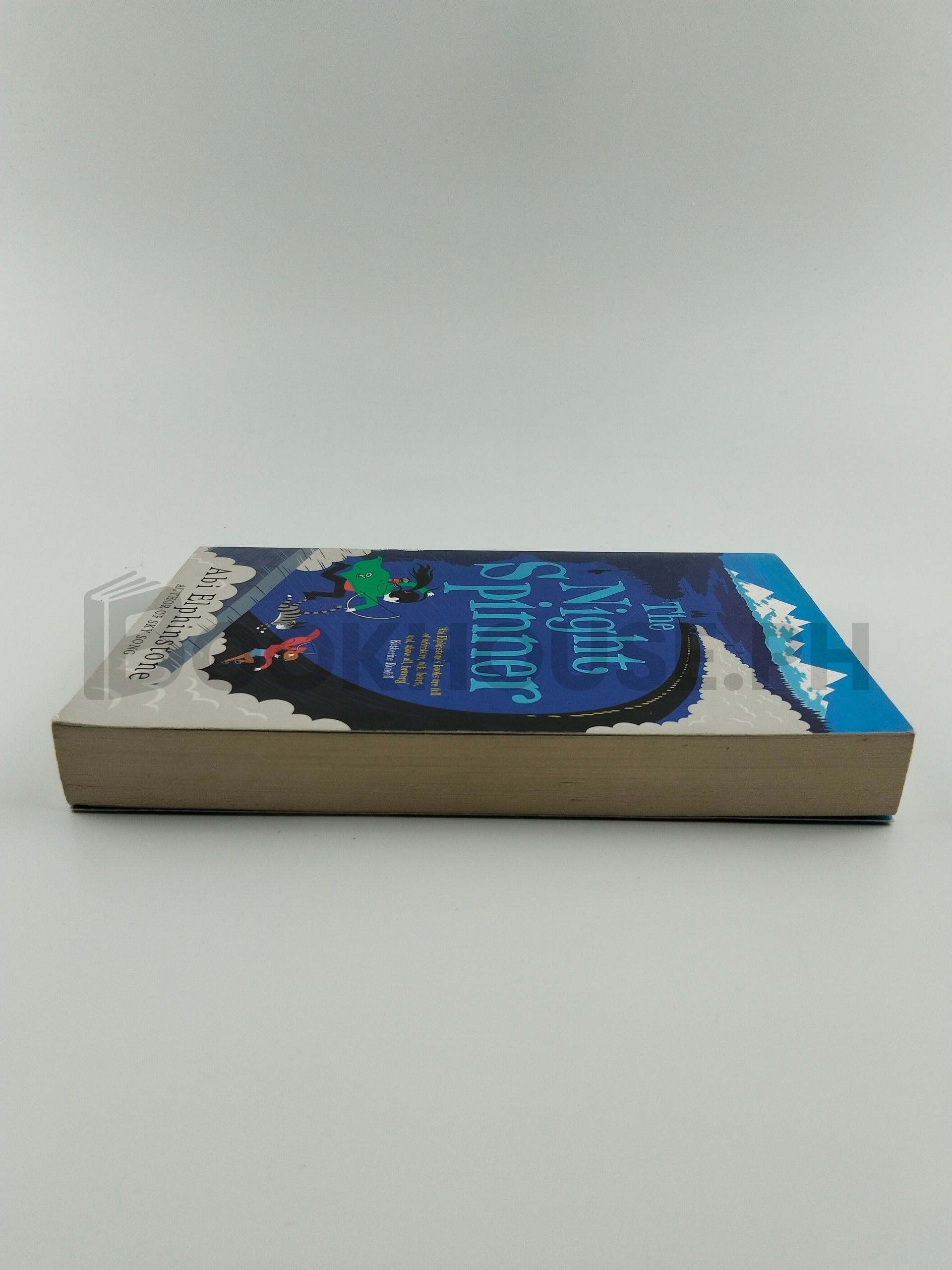 The Night Spinner by Abi Elphinstone - Image 4