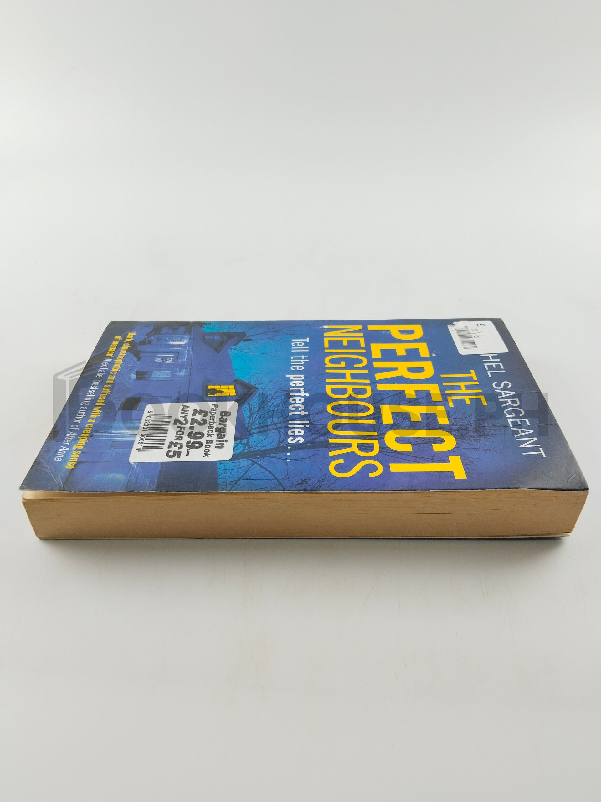 The Perfect Neighbours by Rachel Sargeant - Image 4