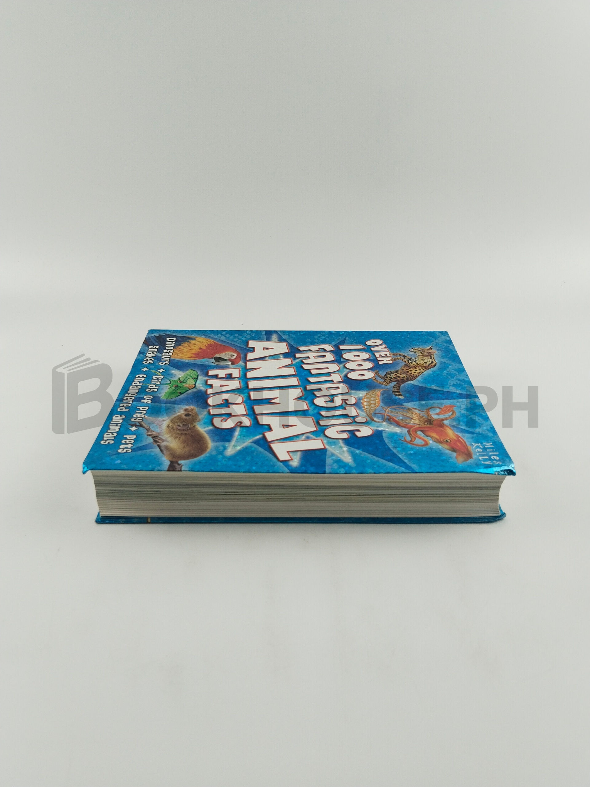 Over 1000 Fantastic Animal Facts by Belinda Gallagher - Image 4