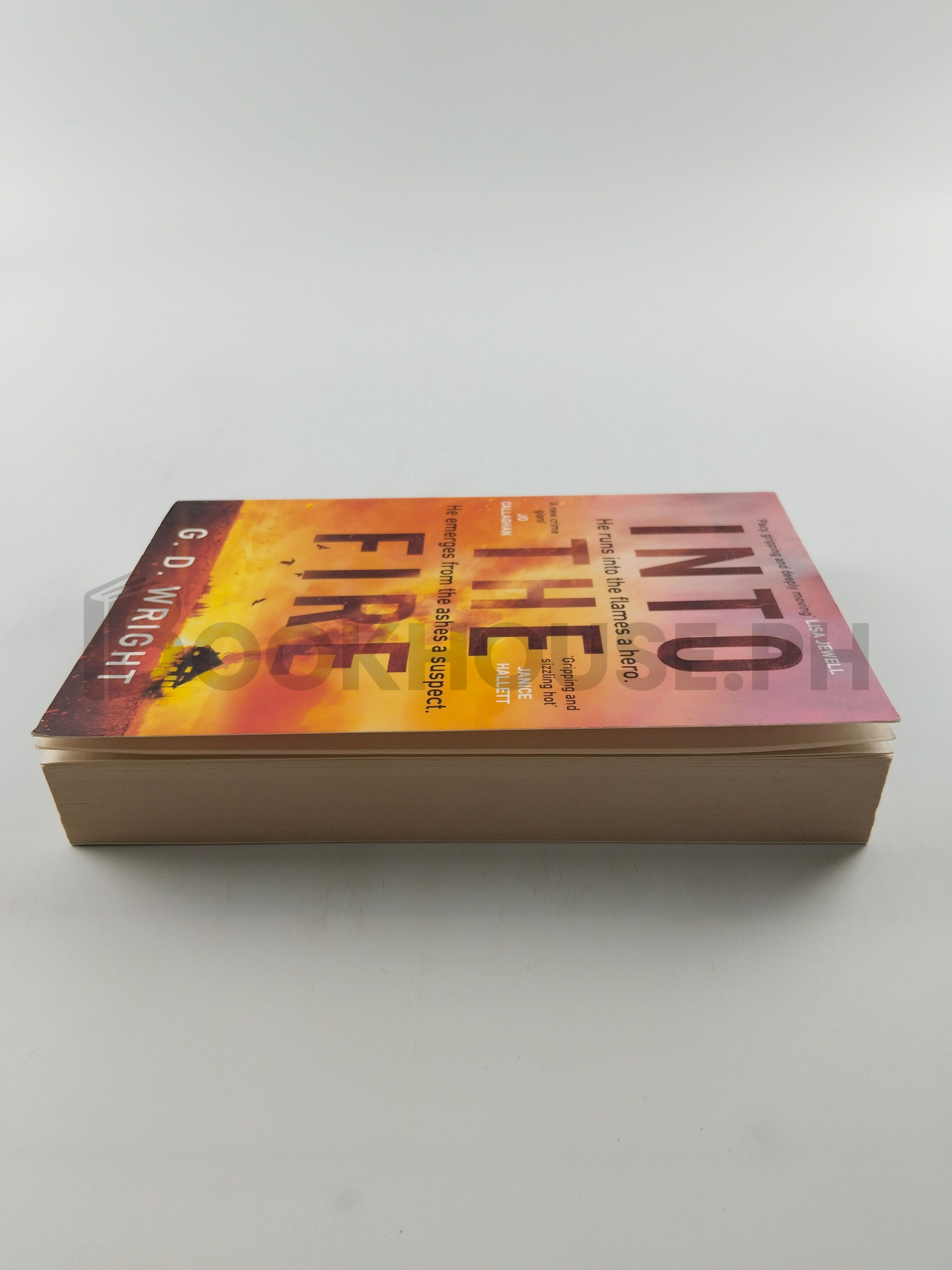 Into The Fire by G. D. Wright - Image 4